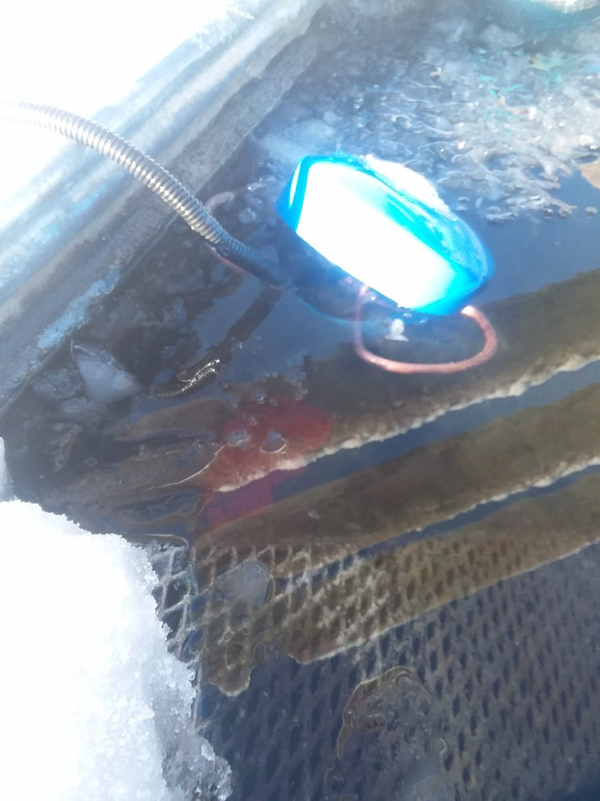 Farm Innovators H-4815 Economical Floating Metal Stock Tank De-Icer 1500W customer photo 2