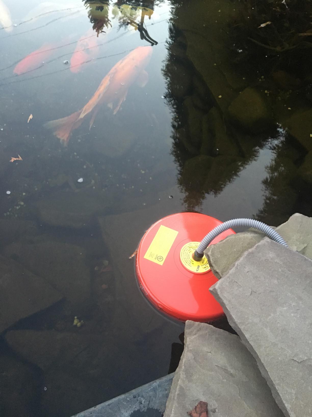 Allied Precision 7521 Floating 1,500-Watt Pond De-Icer/Heater customer photo 2