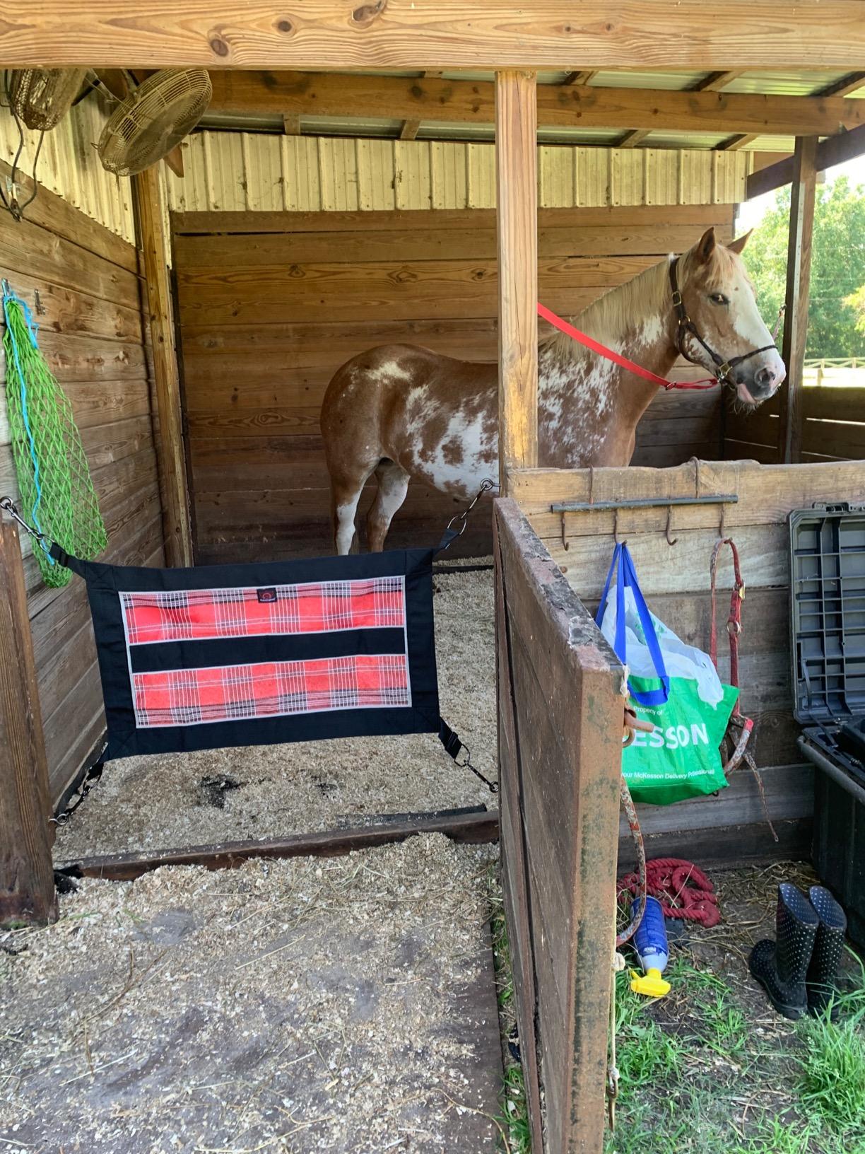 Kensington Stall Guard for Pony Horse Draft - Designed to Keep Horse Securely in Stall in Style - Adjustable Straps and Hardware Included 121- Deluxe Black customer photo 5
