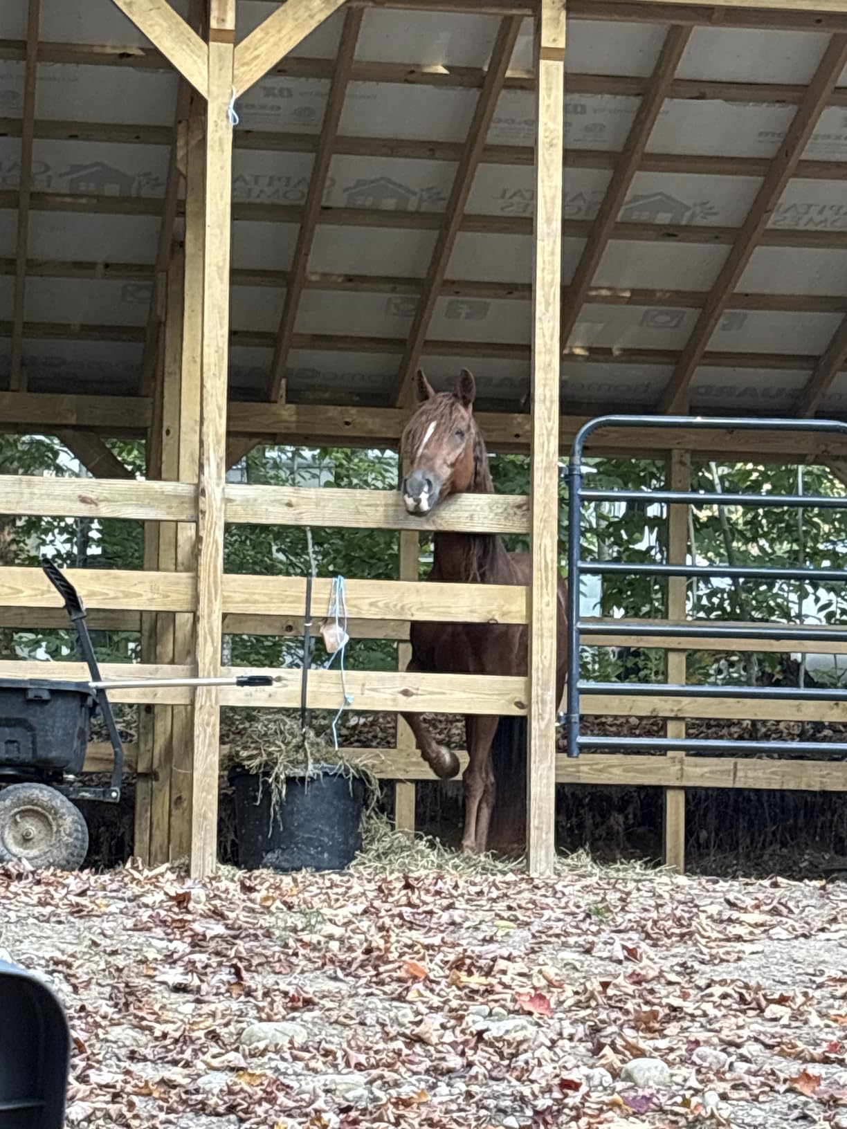 FORTEX INDUSTRIES Muck Bucket customer photo 1