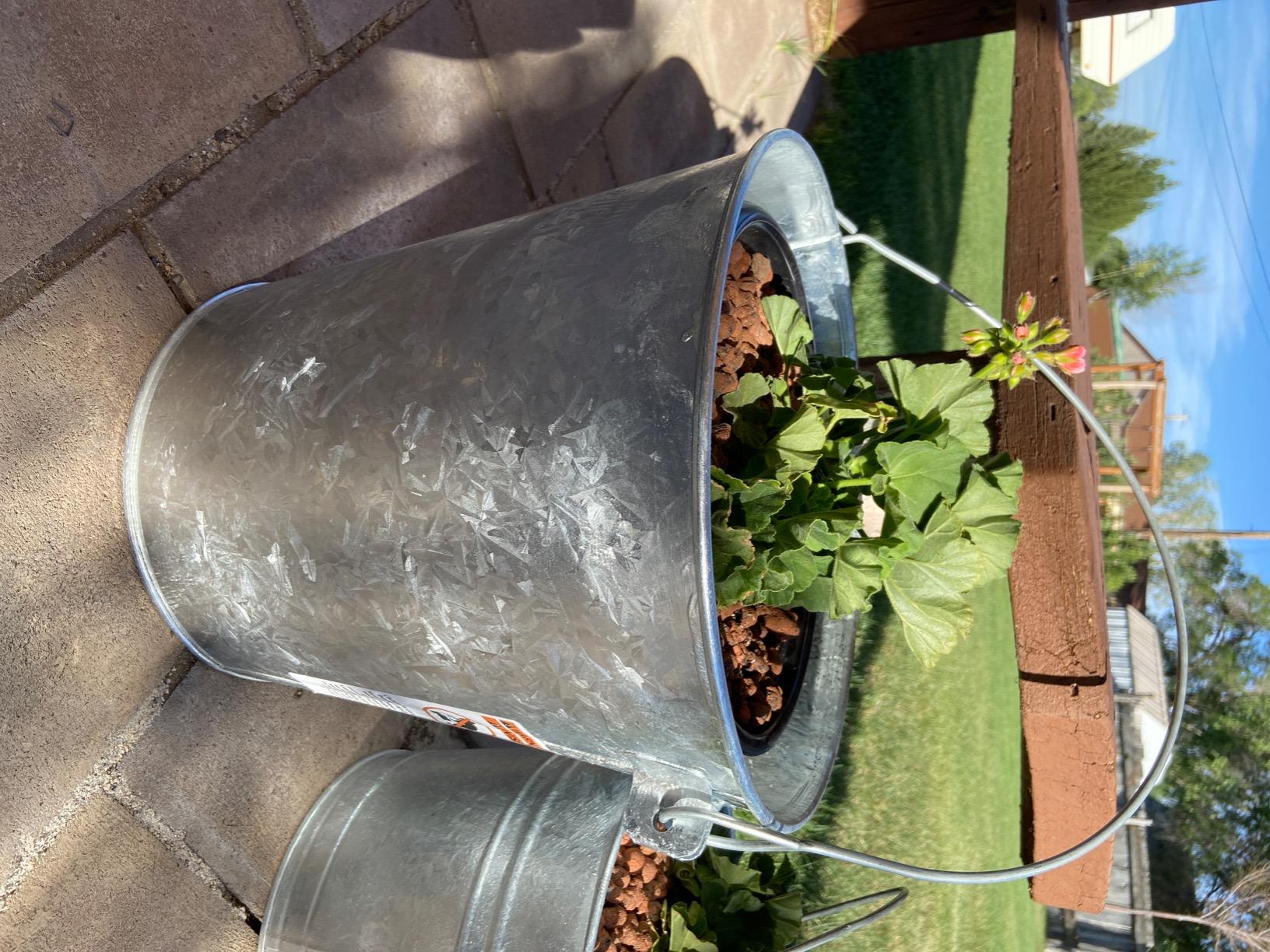 Behrens 1214GS Galvanized Steel Utility Pail, 14-Quart, Gray customer photo 2