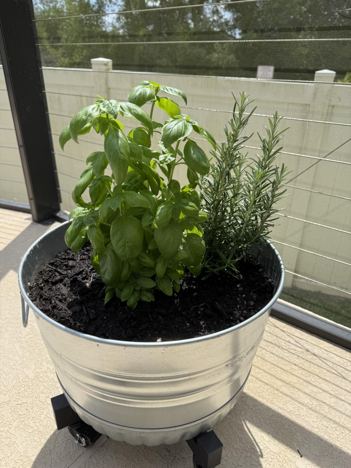 Behrens Galvanized Bushel Basket (1 Bushel) customer photo 1