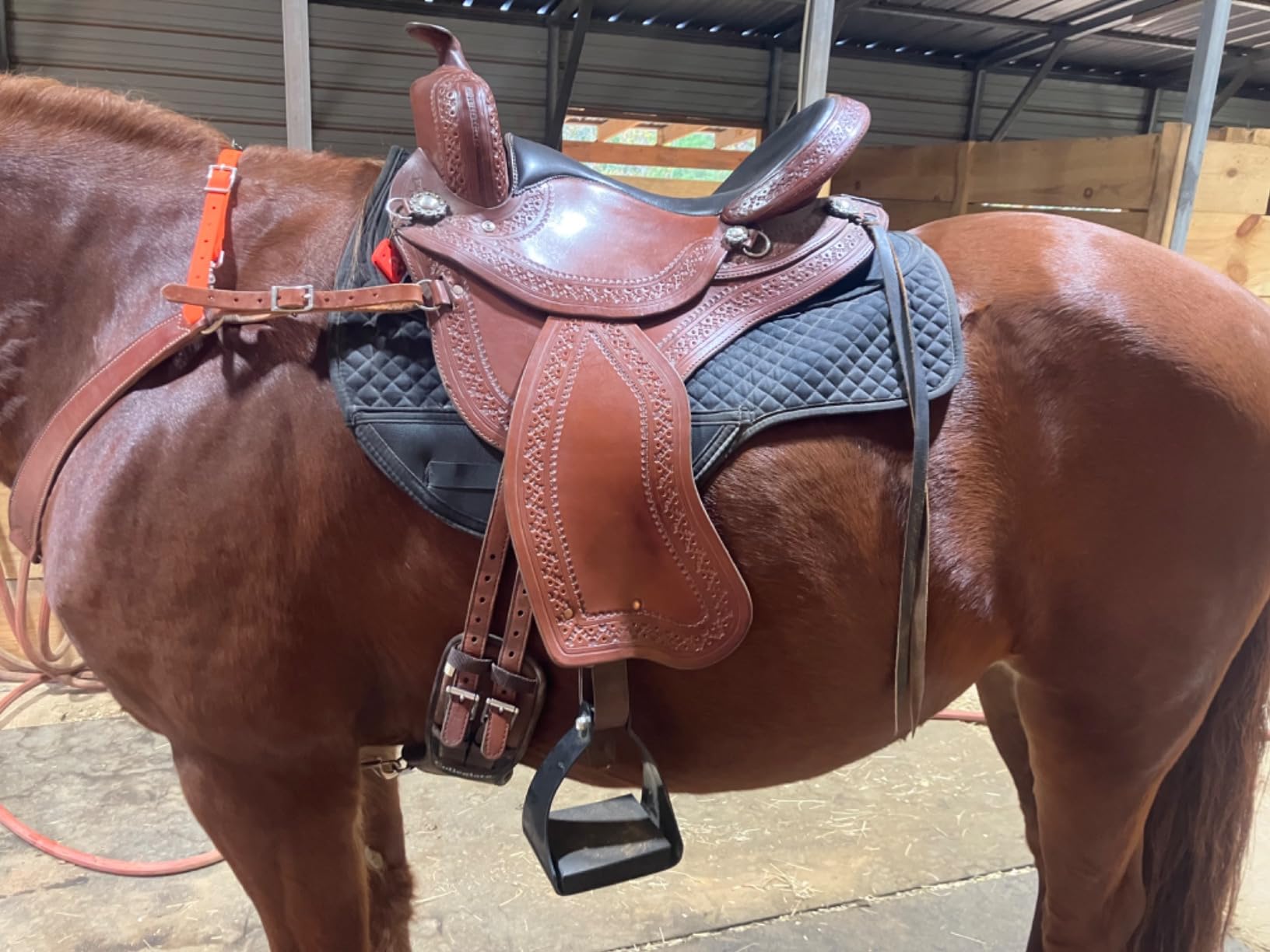 Shenandoah Western Stirrups, Trail Stirrups for Saddle Western, Endurance Stirrups for Grip, Stability & Shock Absorption, Trail Riding, Schooling, Relieves Knee, Ankle & Hip Stress customer photo 1