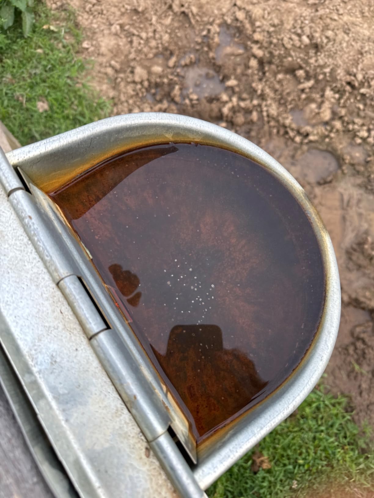 Little Giant Automatic Livestock Waterer Epoxy Coated Automatic Stock Waterer for Horses, Cows and Hog customer photo 2
