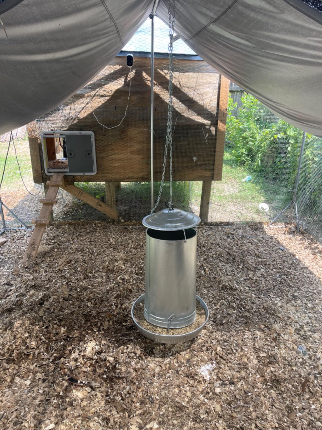 Little Giant Hanging Metal Poultry Feeder | Chicken Feeder | Outdoor Hanging Bird Feeder | Galvanized Steel Feed Container with Hanging Handle | 40 Pound customer photo 1