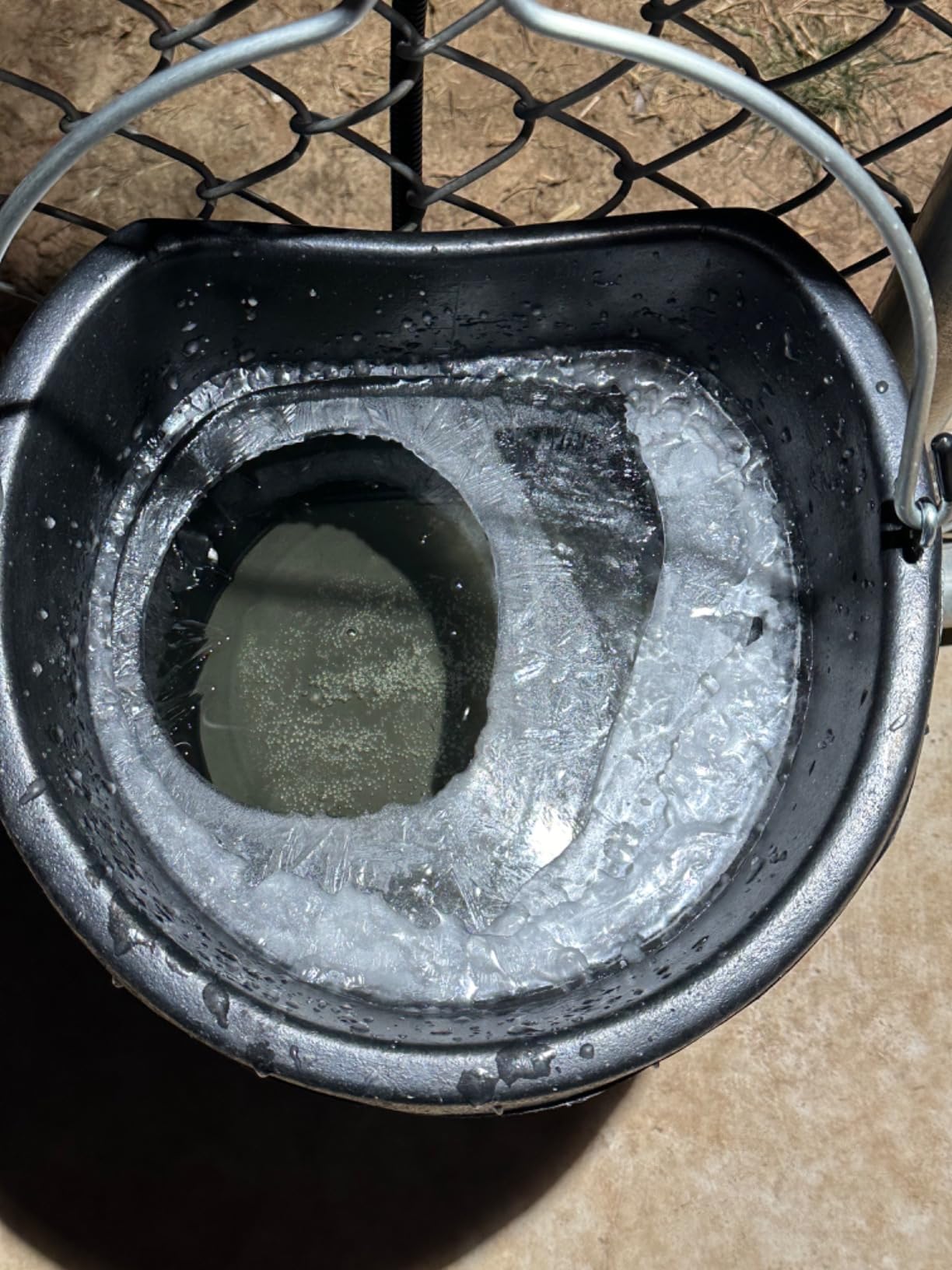 Farm Innovators FB-15R Heated Flat-Back Rubber Bucket, Hanging Water Bucket with Built-in Thermostat and 90W Cord, 18 Quarts customer photo 1