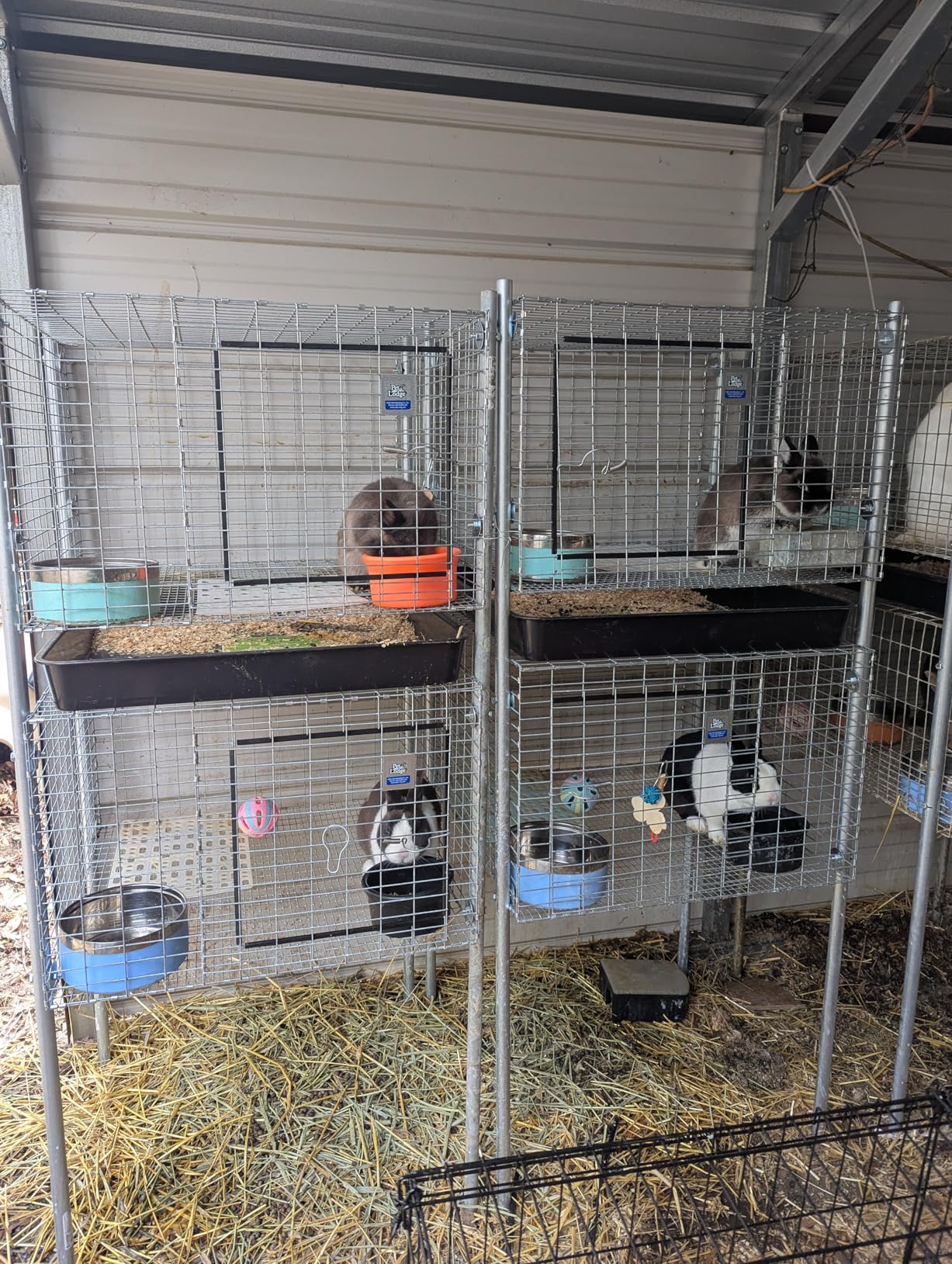 Pet Lodge Wire Rabbit Hutch - Rust Resistant Galvanized Wire Mesh, Easy to Assemble Stackable Rabbit Cage, Made in USA, 24 X 24 customer photo 1