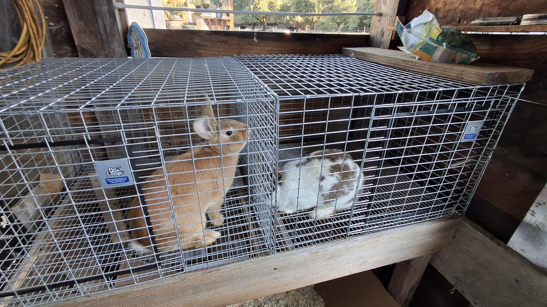 Pet Lodge Wire Rabbit Hutch - Rust Resistant Galvanized Wire Mesh, Easy to Assemble Stackable Rabbit Cage, Made in USA, 24 X 24 customer photo 2