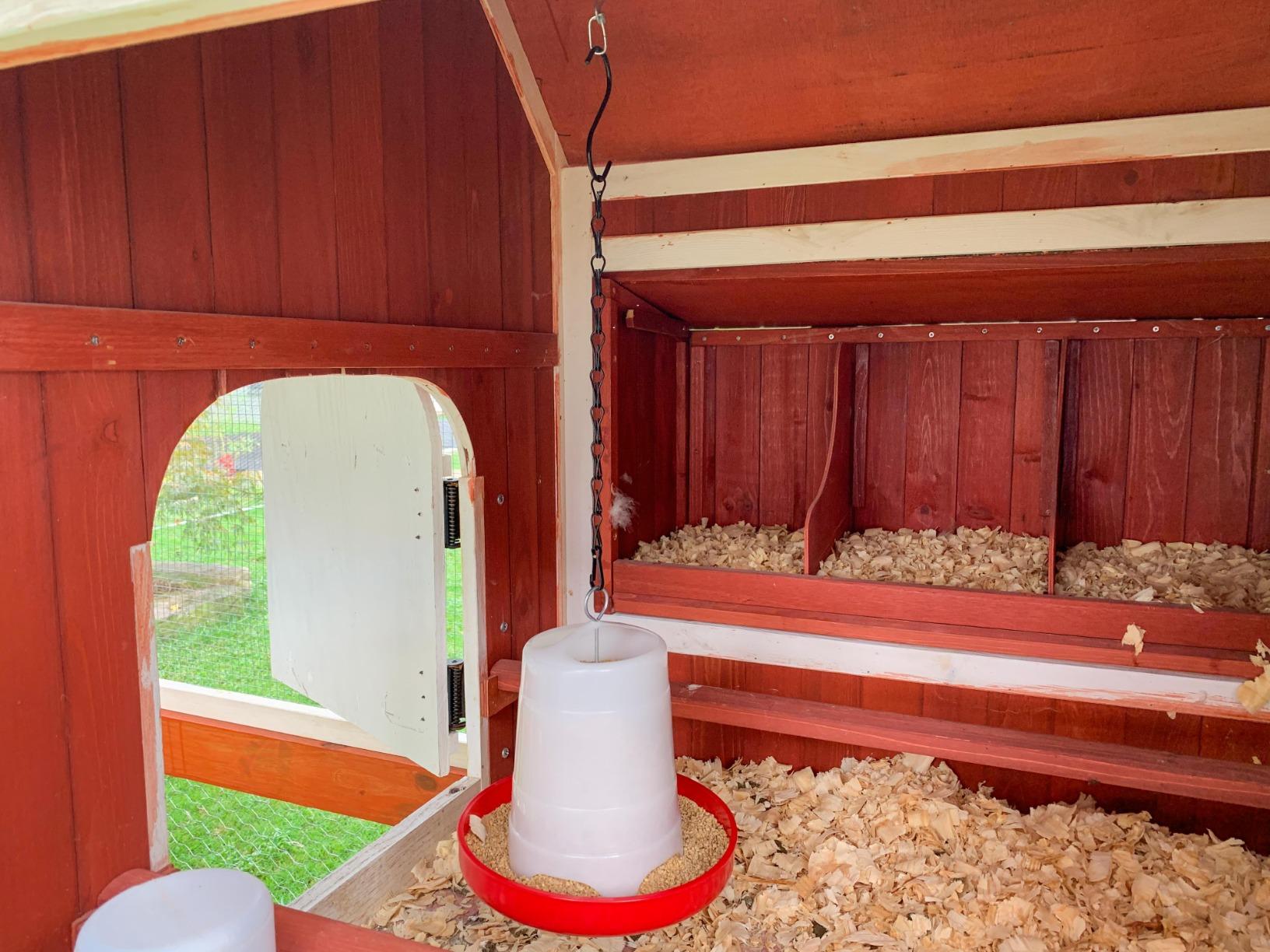 Little Giant Plastic Hanging Poultry Feeder | Heavy Duty Automatic Feed Container for Poultry (Red, 22 Pound) customer photo 2