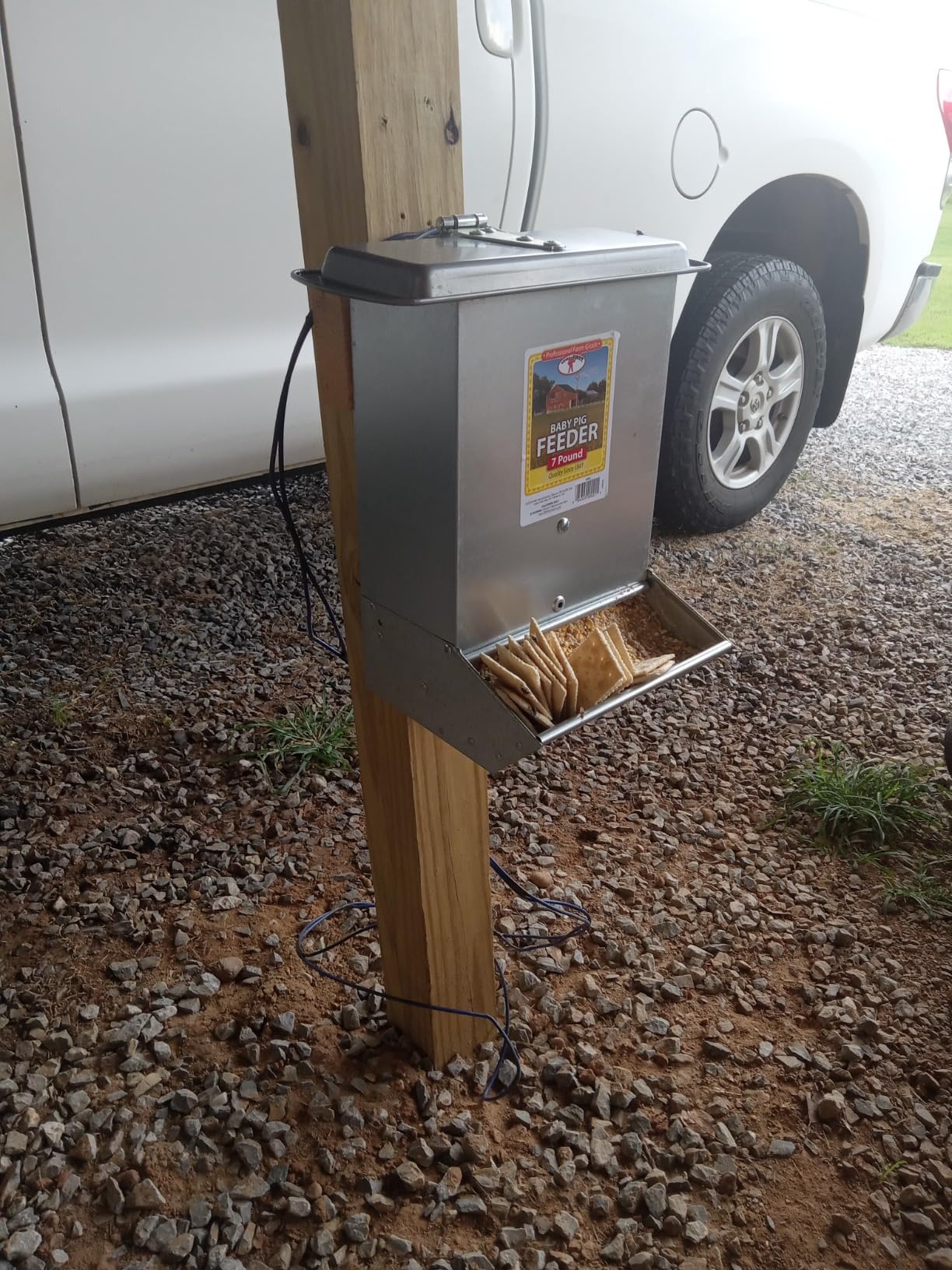 Little Giant 2-Hole Baby Pig Feeder | Piglet Feeder Trough | Mountable Feeder for Baby Pigs customer photo 1