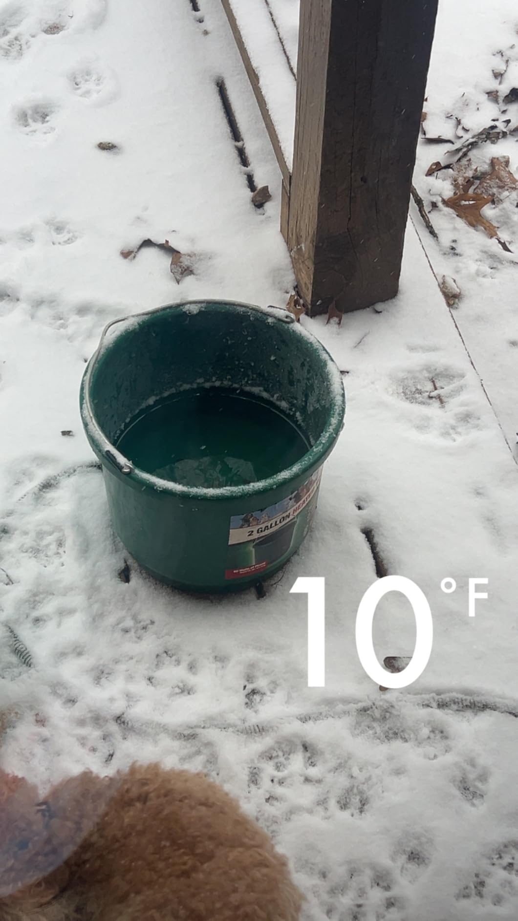 API 16 Gallon 260 Watt Heated Bucket 16HB customer photo 2