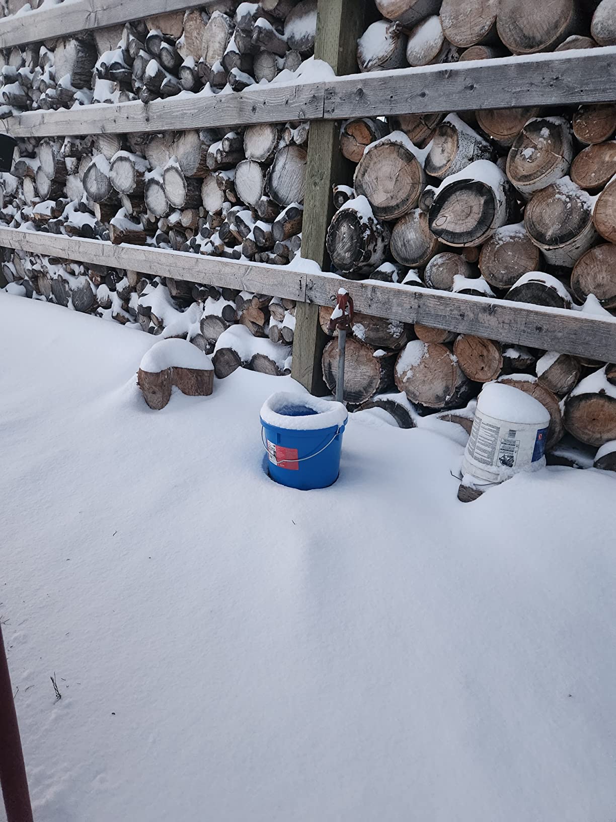 API 10 Quart Heated Bucket 10FB customer photo 1