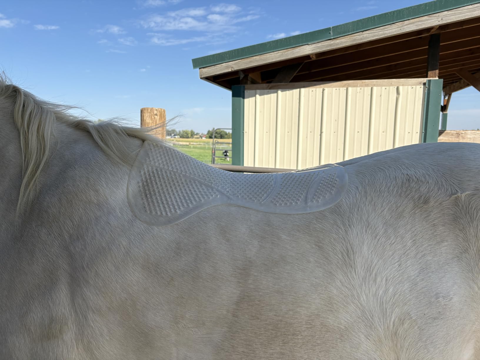 Ovation Perforated Silicon Anti-slip Half White Saddle Pad customer photo 1