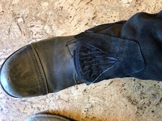 Perri's Zipper Adult Half Chap customer photo 1