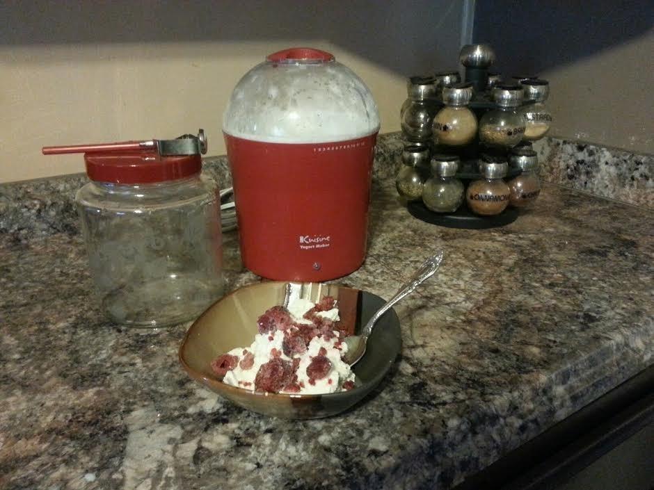 Euro Cuisine YM260 Yogurt Maker with Adjustable Time & Temperature Control, 2-Quart Glass Jar, Free Thermometer & Cotton Strainer Bag, 2025 Edition, White, Make Yummy Organic Probiotic Yogurt at Home customer photo 2