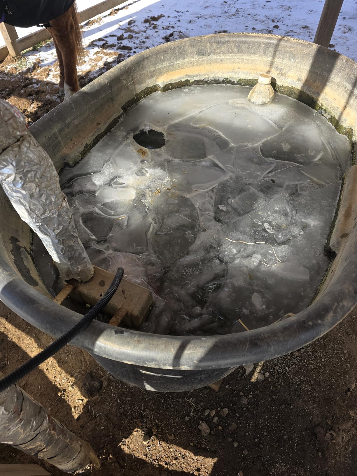 K&H Stock Tank Deicer, Pond Heater, 750W, Safety Listed, Red | Floating or Submersible Stock Tank Heater; Pond & Water Trough Deicer for Horses, Cattle & Livestock; Cage & Cord Clip customer photo 2