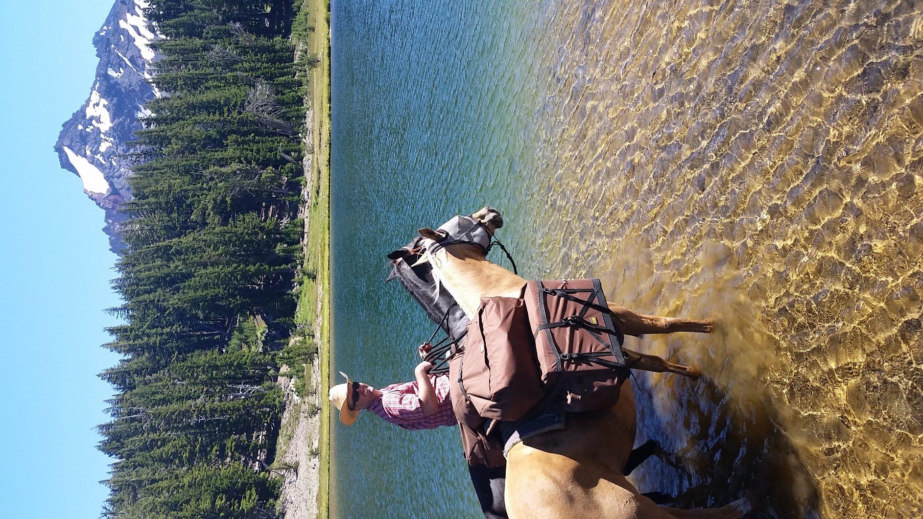 TrailMax Pack-A-Saddle; Saddle Pack Pannier System, Fits Riding Saddles, Decker & Sawbuck Pack Saddles; Pack Saddle System W/Detachable Panniers; Panniers for Hunting; Camping, New Packers customer photo 2