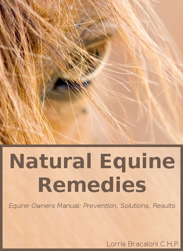 Vetericyn Plus Horse Wound Care Spray | Equine Healing Aid and Skin Repair, Clean Wounds, Relieve Itchy Skin. 16 ounces customer photo 2