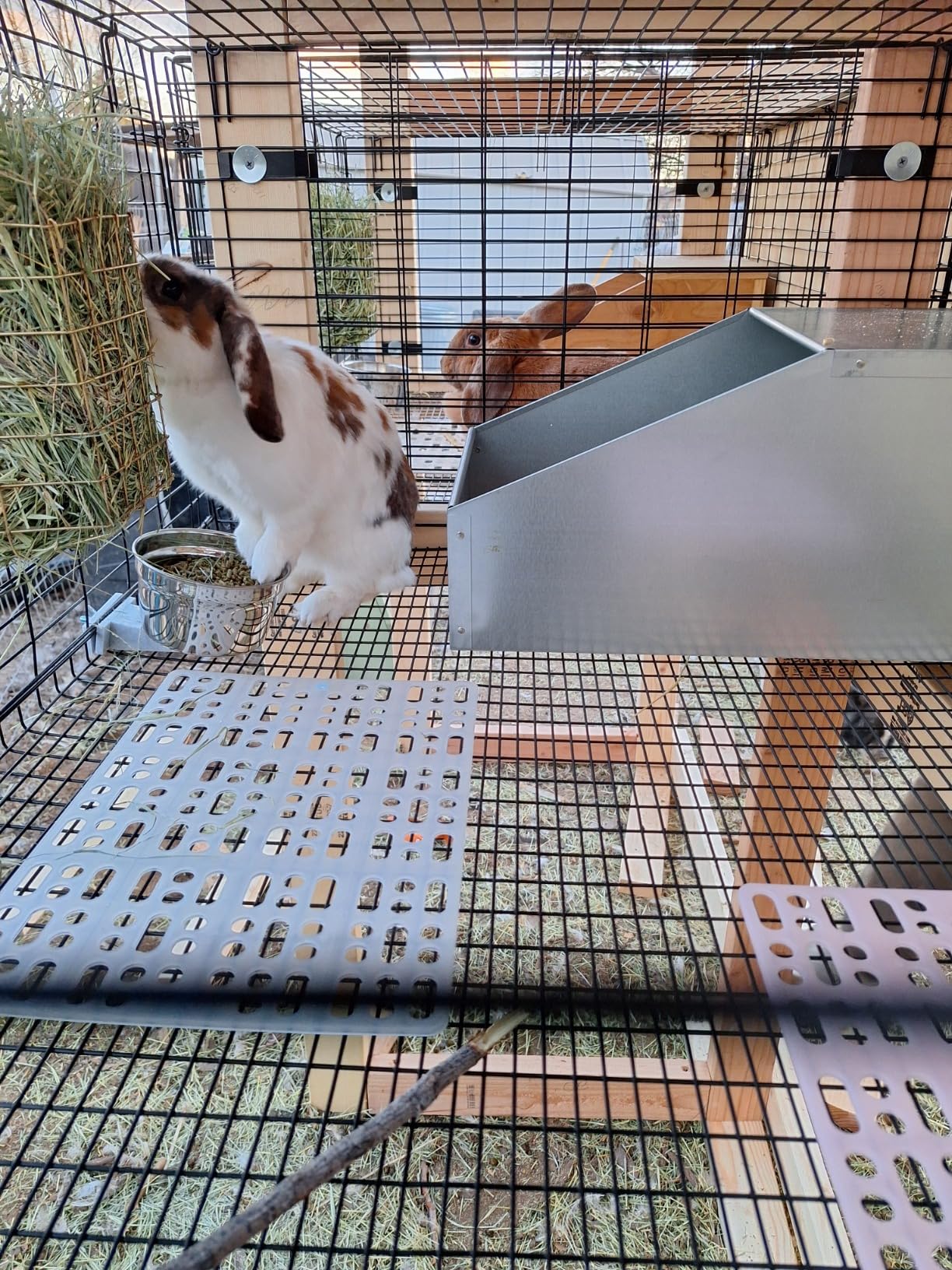 Pet Lodge Small Animal Nest | Substitute Natural Burrow or Den | Rabbit Nesting Box | Burrow Box for Small Animals customer photo 1