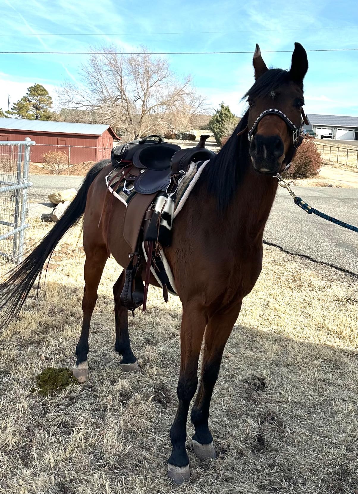 SMX Comfort-Fit Western Merino Wool Cinch | Removable Lining, Stainless Steel Hardware customer photo 2