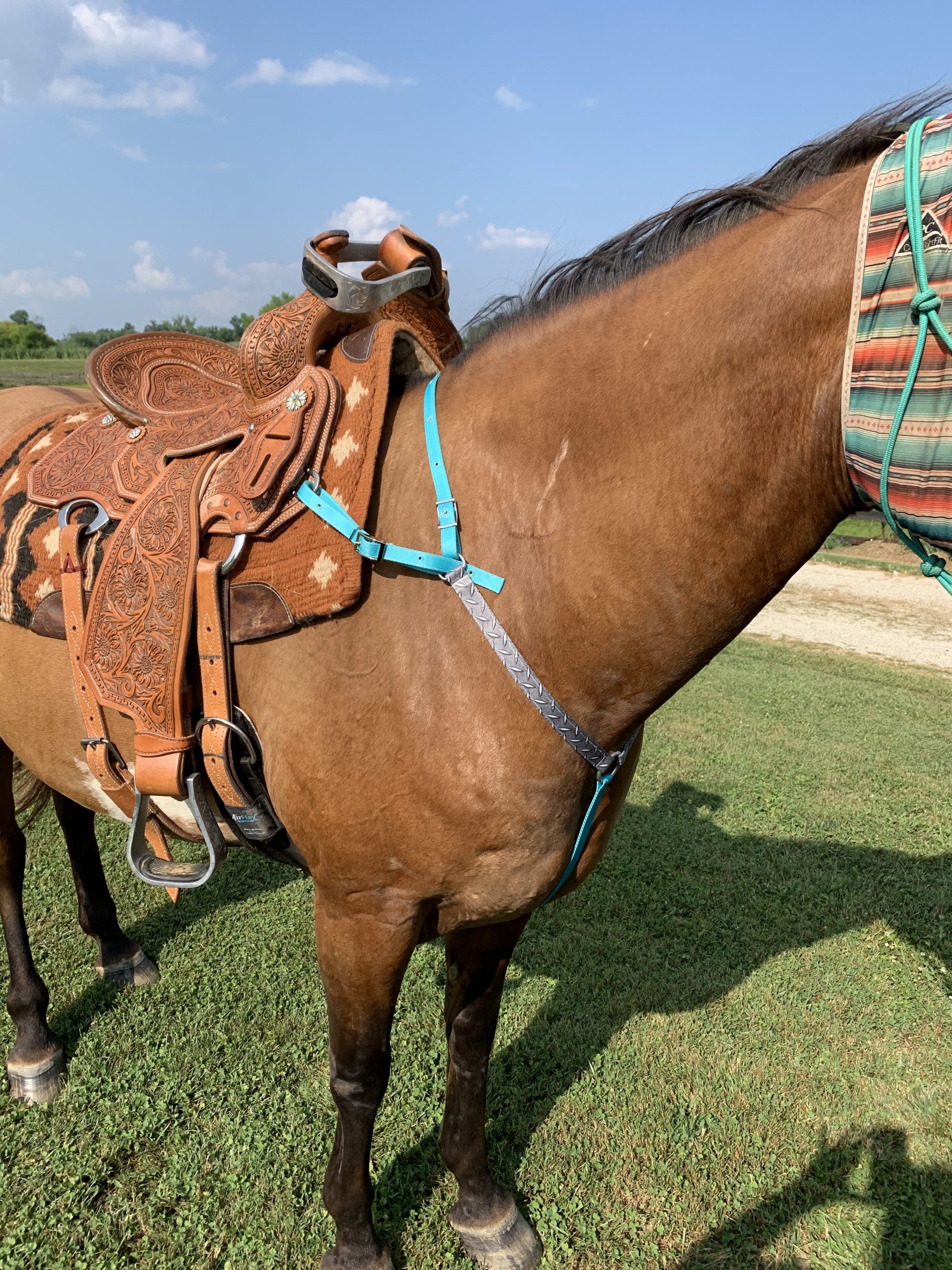 Weaver Equine Airflex Roper Horse Cinch, Anti-Slip Nylon Webbing Saddle Cinch Girth with Flat Buckle, Western Horse Riding Supplies, Black customer photo 1