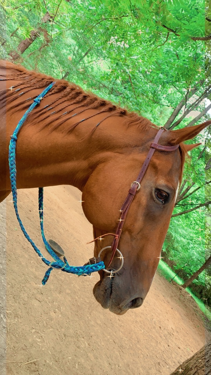 Weaver Leather TRV154605 Western Headstall customer photo 1