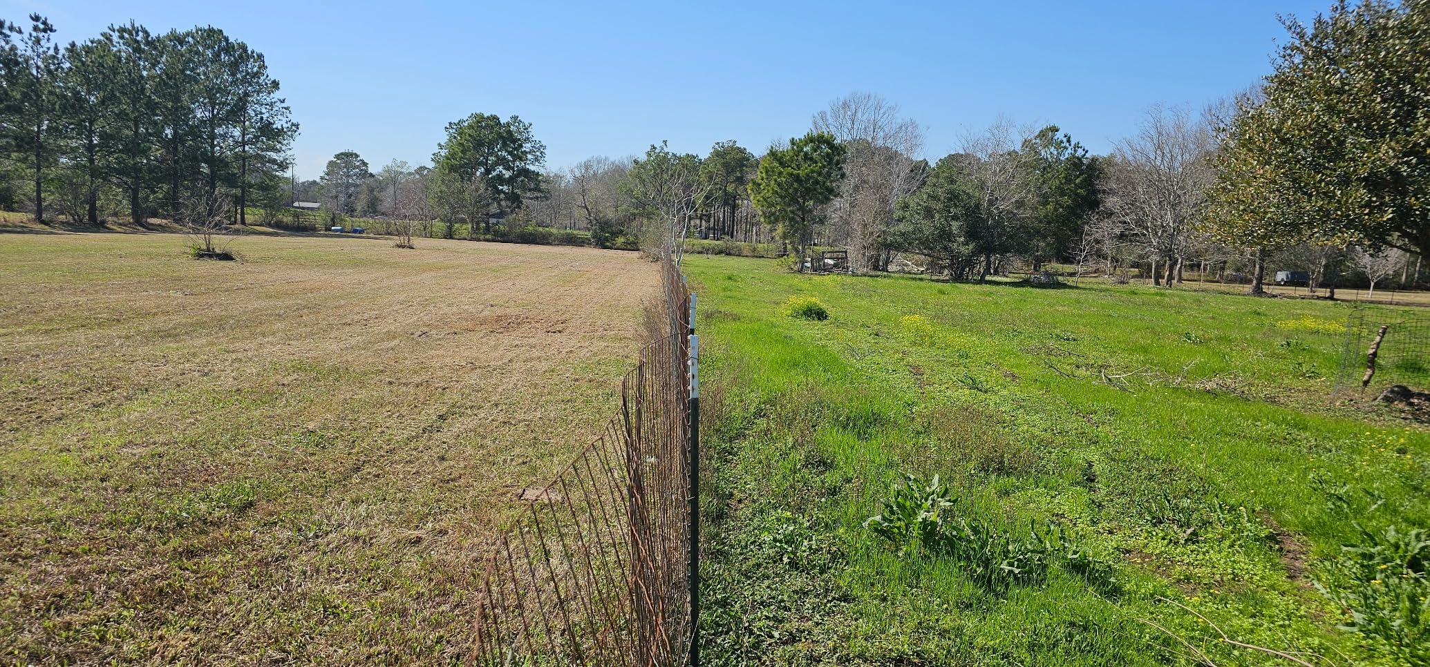 X-Seed Land Over-Seeder Pasture Forage Seed Mix, Endophyte Free for Healthier Livestock Grazing, Clover Food Plot Orchardgrass Perennial Planting Micro Boost Seed for Faster Growth, 25 lb Bag - Green customer photo 1