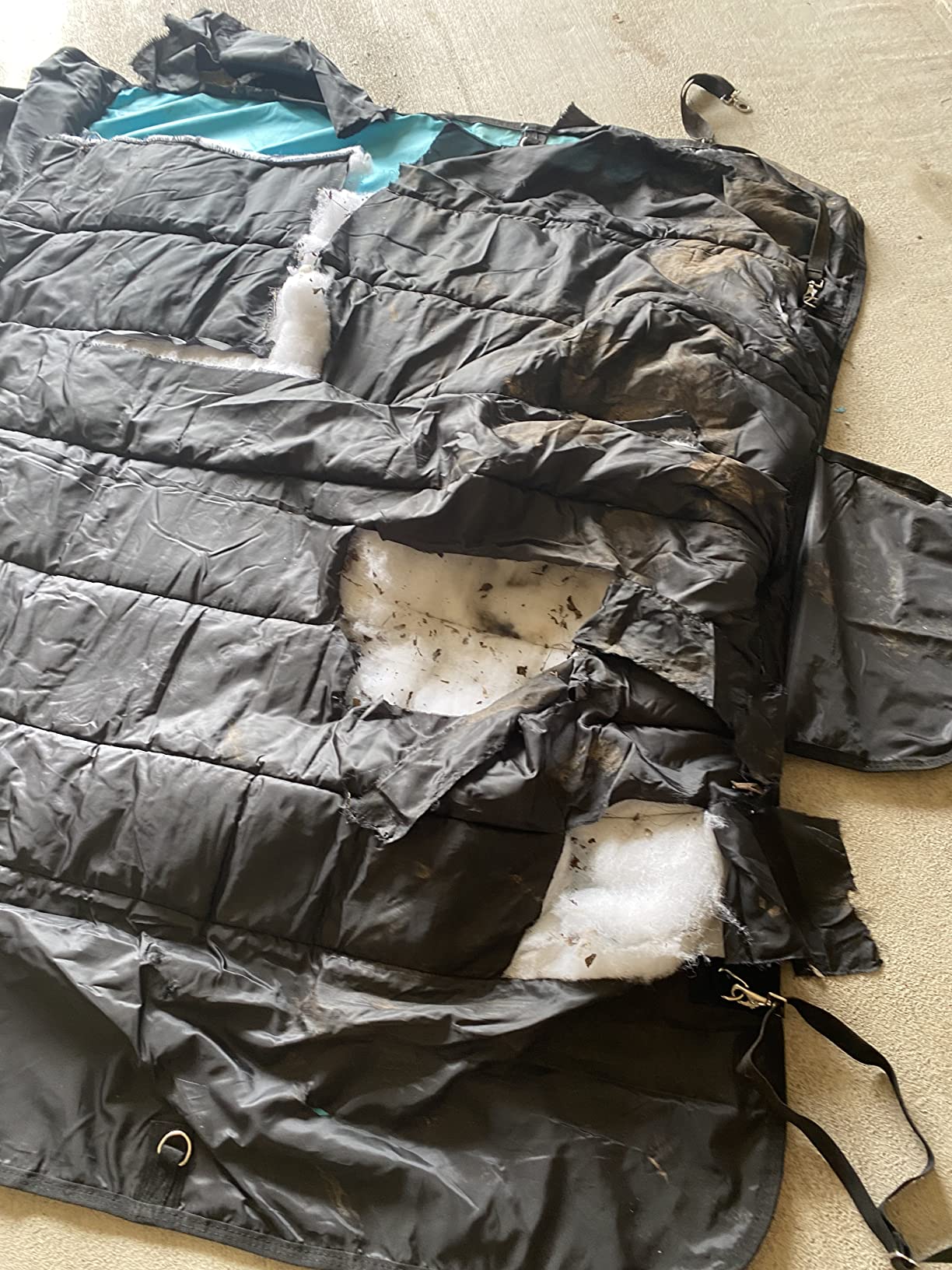 AJ Tack 1200D Waterproof Winter Horse Blanket - 400g Heavyweight Turnout with Fleece Collar, Shoulder Gussets & Tail Flap - Purple 72