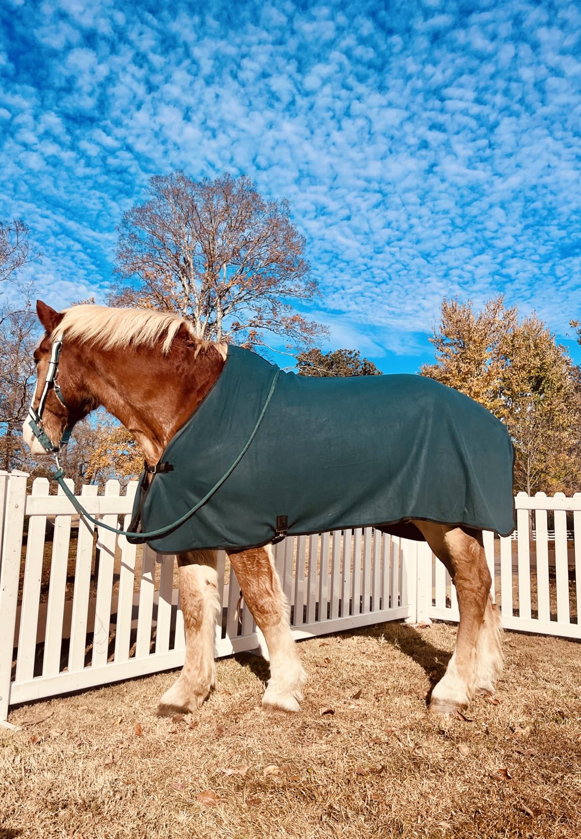 Tough 1 Soft Fleece Blanket Liner/Sheet customer photo 2