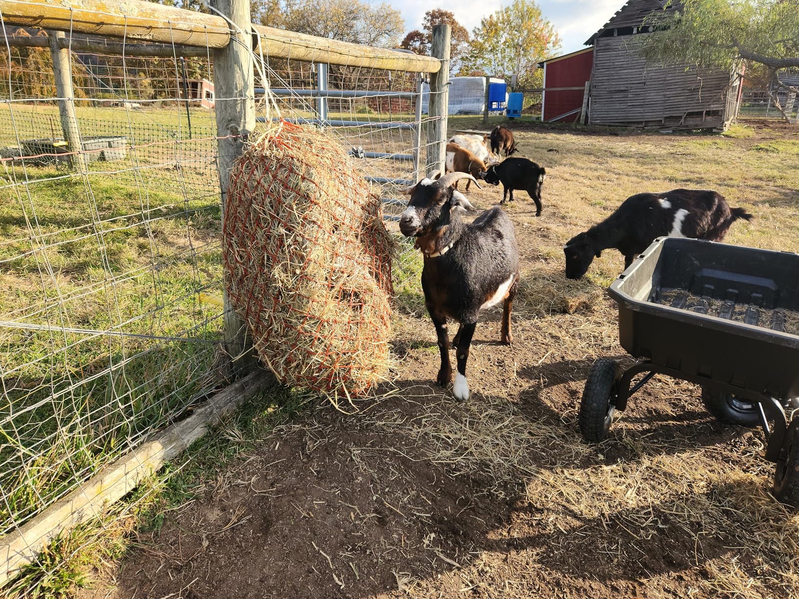 Tough1 Slow Feed Hay Net - Red customer photo 2