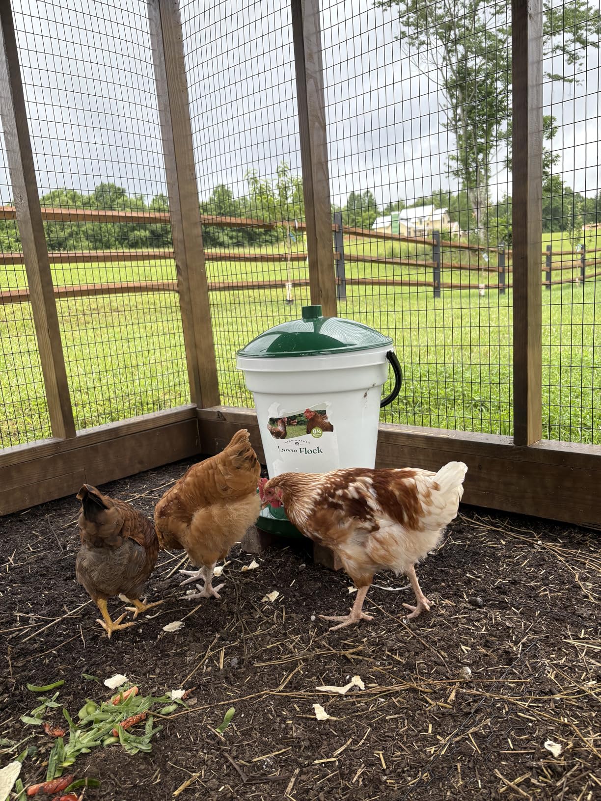 Harris Farms Plastic Hanging Poultry Feeder, Twist and Lock Base, For Medium to Large Flocks, Feeds up to 25 Birds, 10 lbs customer photo 1