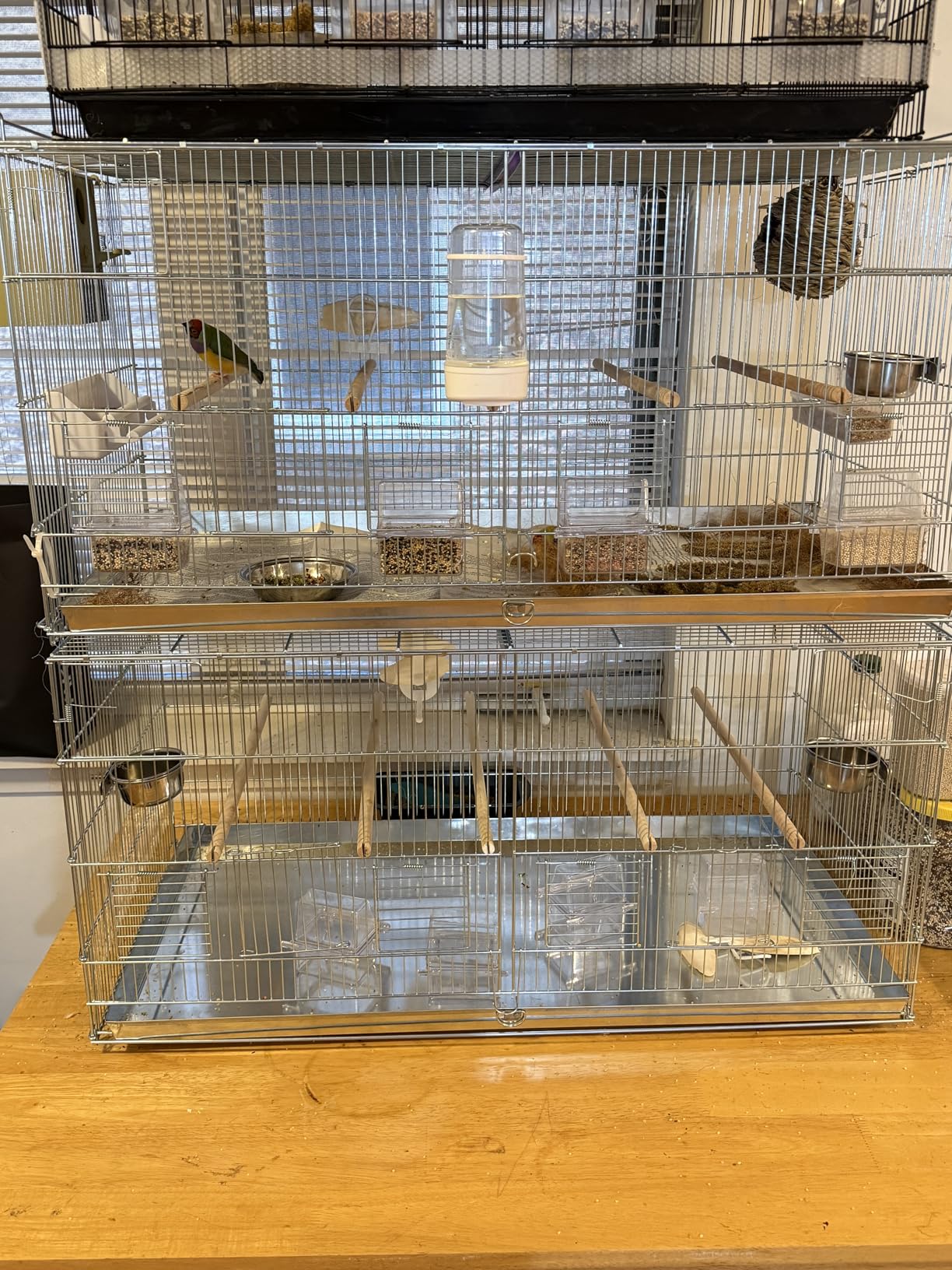 Combo: Large NO Rust Stainless Galvanized Stack and Lock Double Breeder Cage Bird Breeding Cage with Removable Center Divider Side Nest Box Doors Removable Rolling Stand customer photo 1