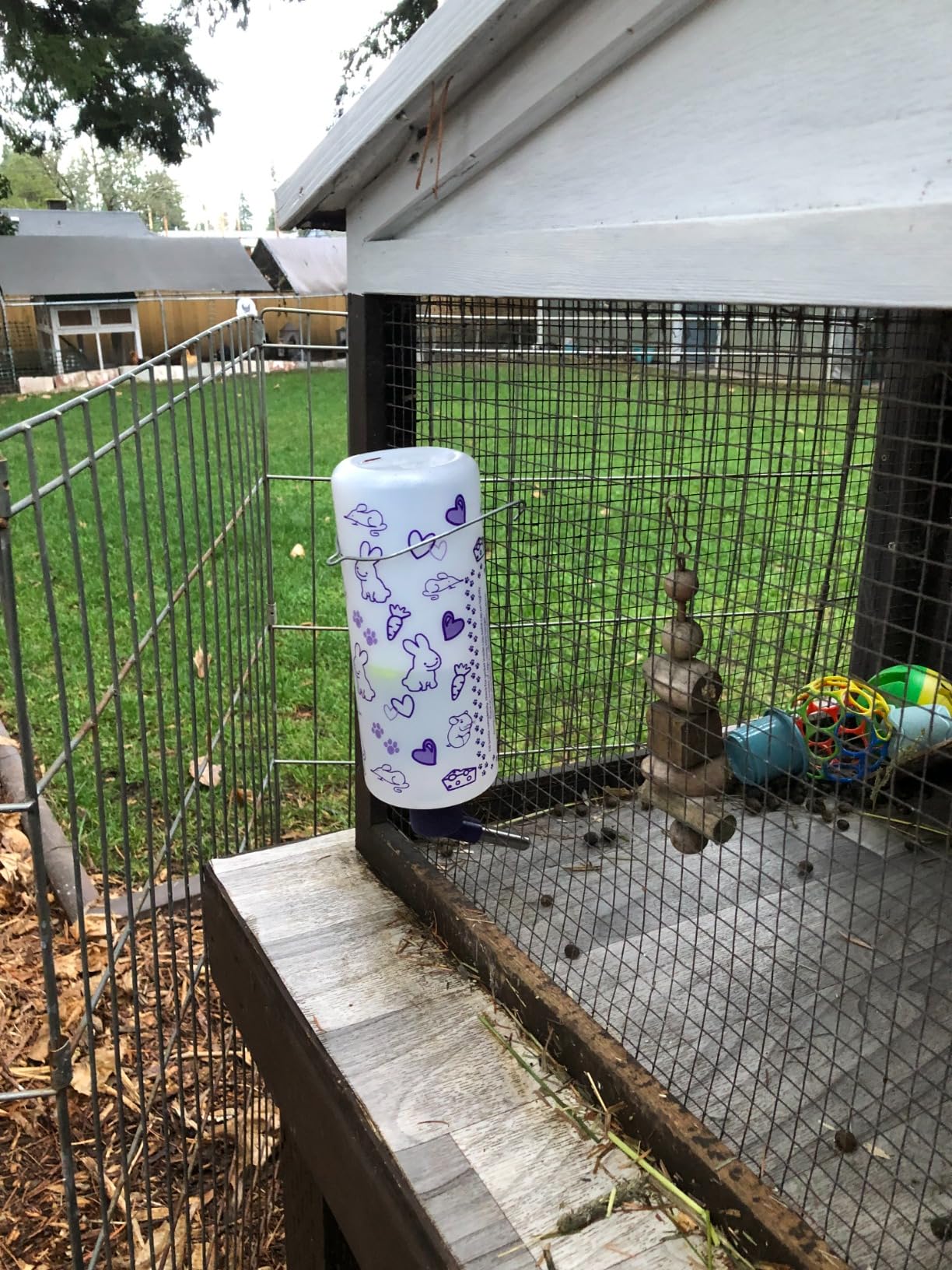 Lixit 32oz Weather Resistant Water Bottles with Heavy Duty Mount for Rabbits and Ferrets (Rabbits) customer photo 2