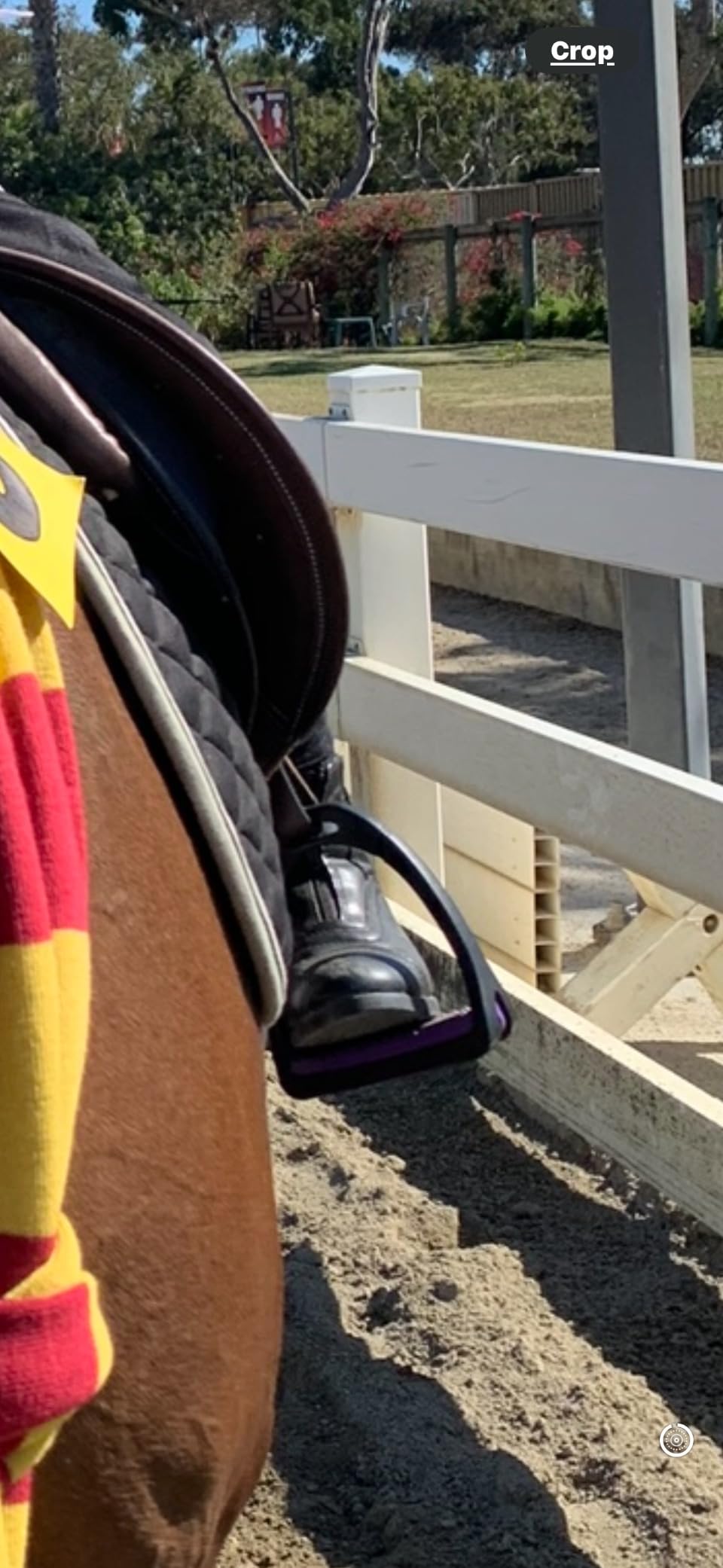 EQUISTAR Ladies All-Weather Zip Paddock customer photo 1