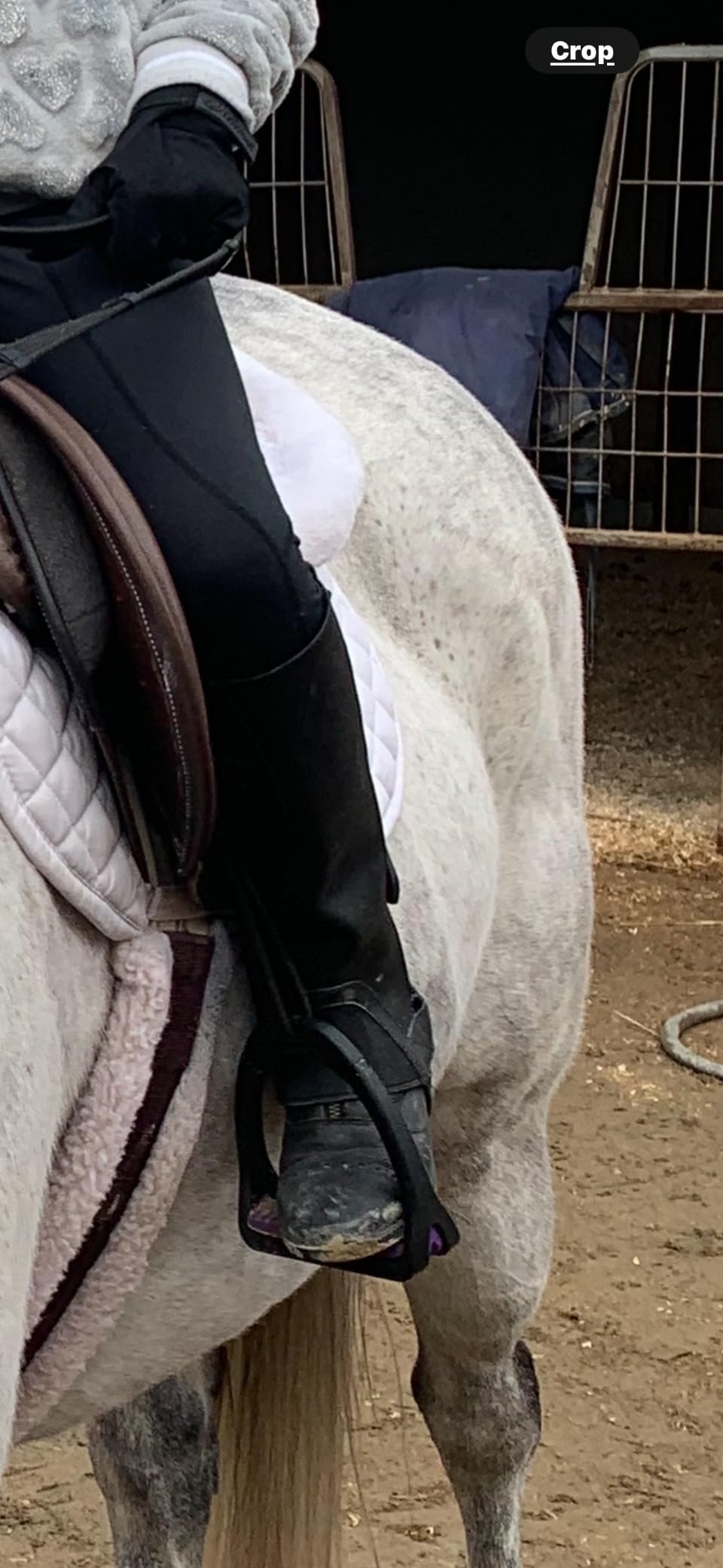 EQUISTAR Ladies All-Weather Zip Paddock customer photo 2