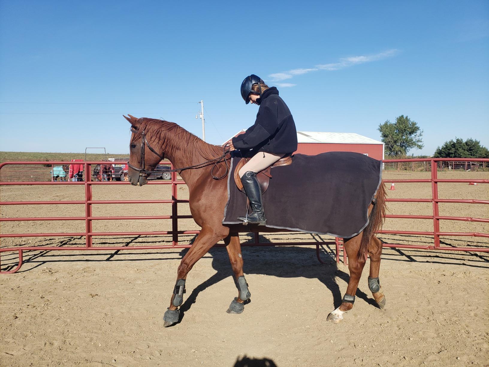 High Spirit Fleece Quarter Sheet customer photo 1