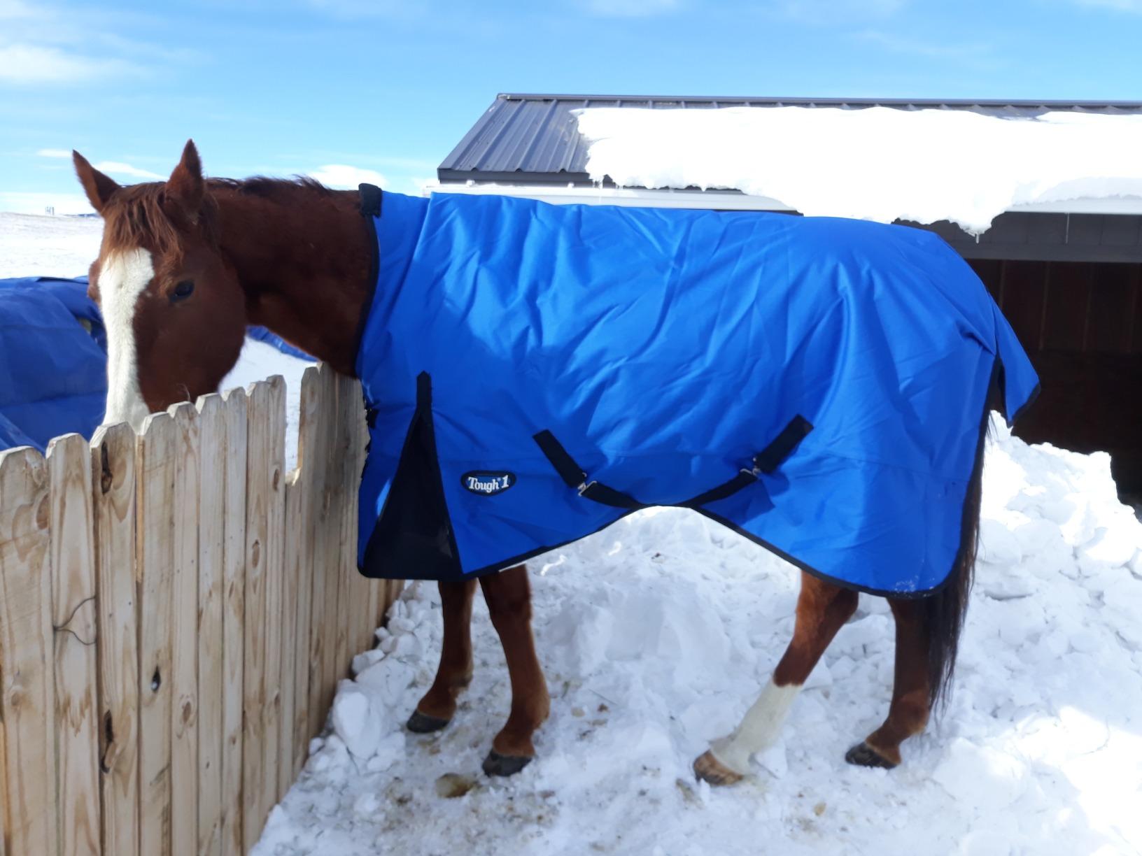 Tough-1 1200D High Neck Turnout Blanket 300g customer photo 2