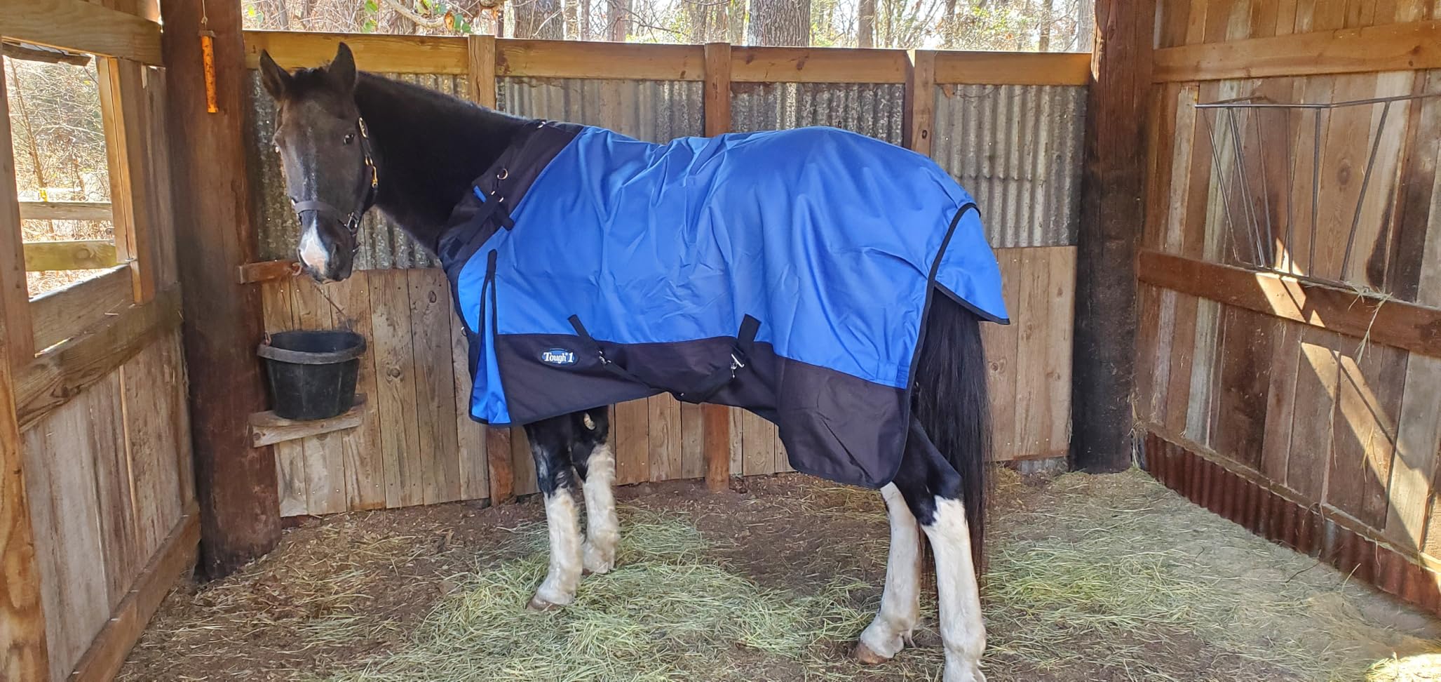 Tough-1 32-21202S 1200D Turnout w/Snuggit 200grm Blue/Royal4 72 customer photo 1