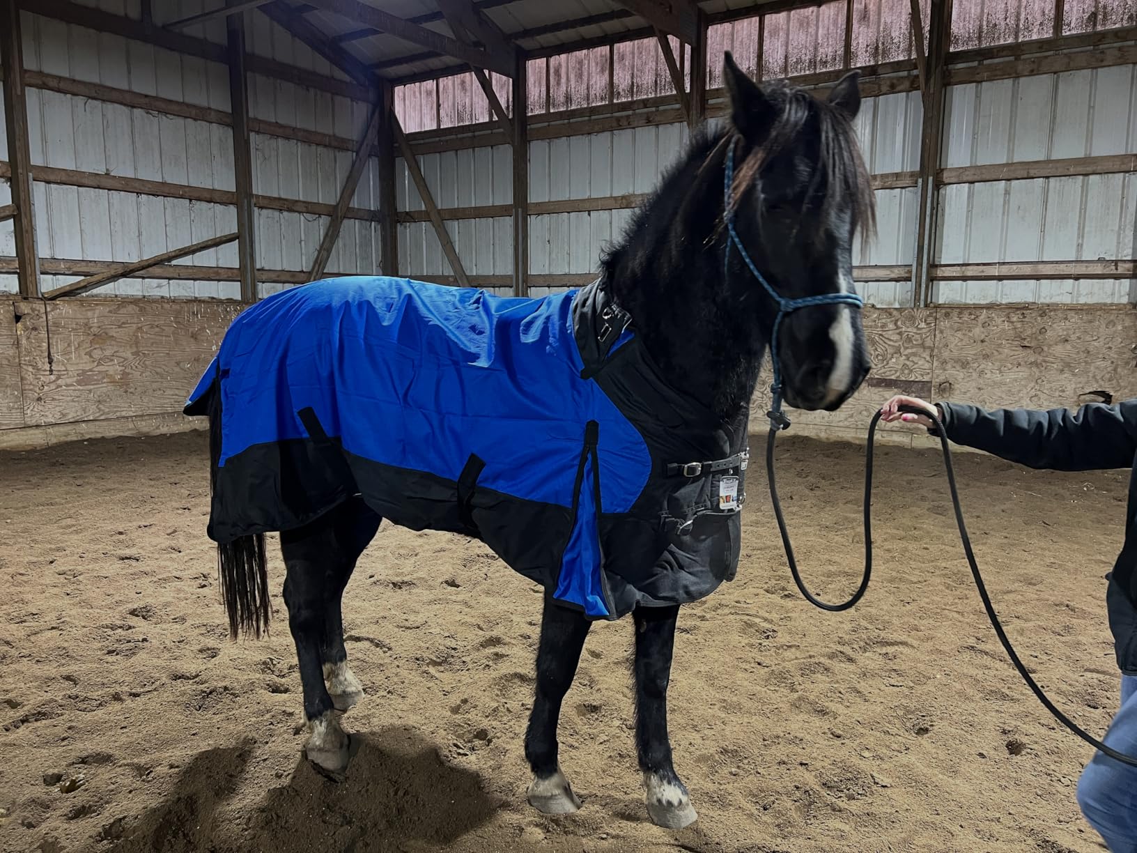 TOUGH1 1200D Turnout Blanket with SNUGGIT, 300-G, Purple, 75-in customer photo 1