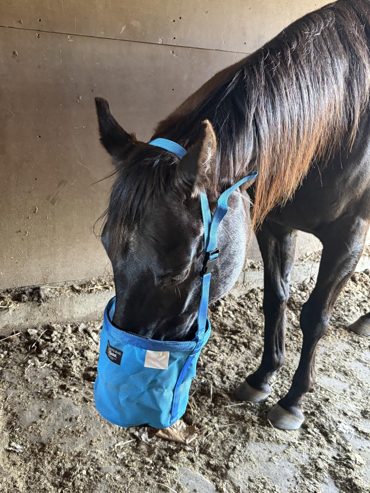CASHEL Horse Feed Rite Bag (FRB) customer photo 1