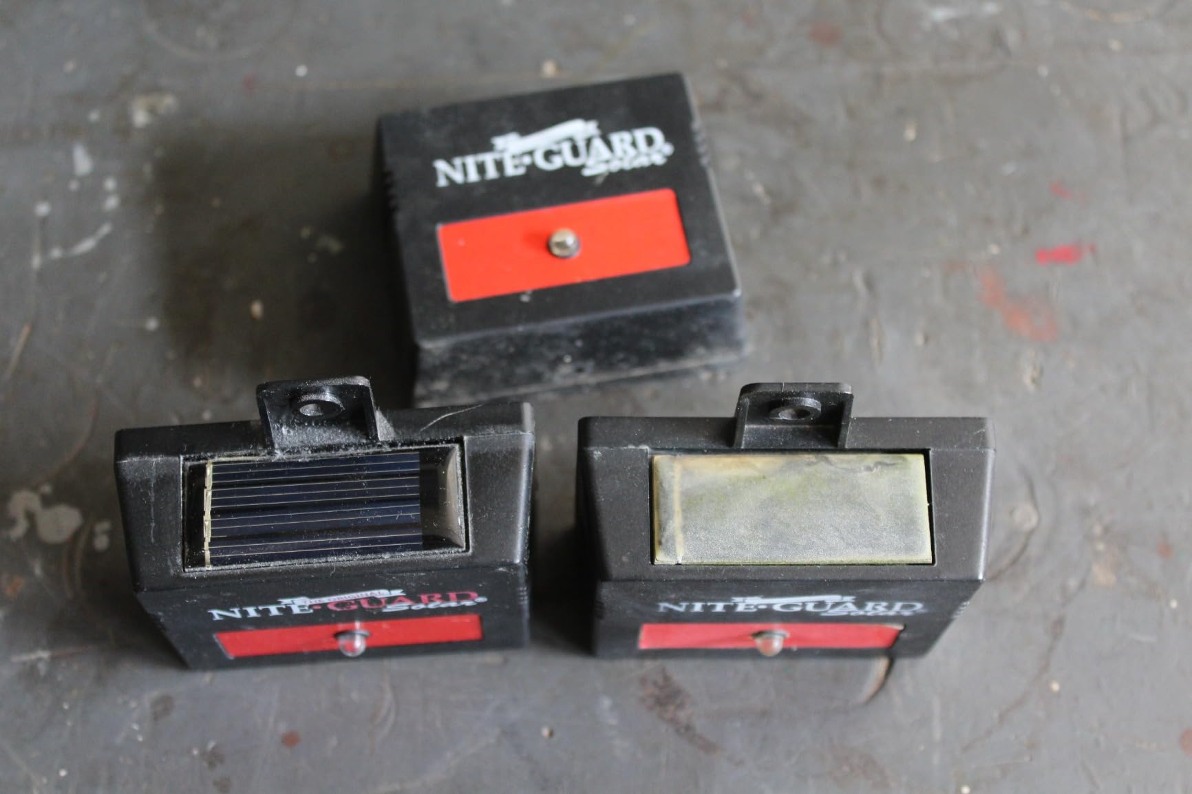 Nite Guard Solar Predator Control Light, (Pack of 4) customer photo 2