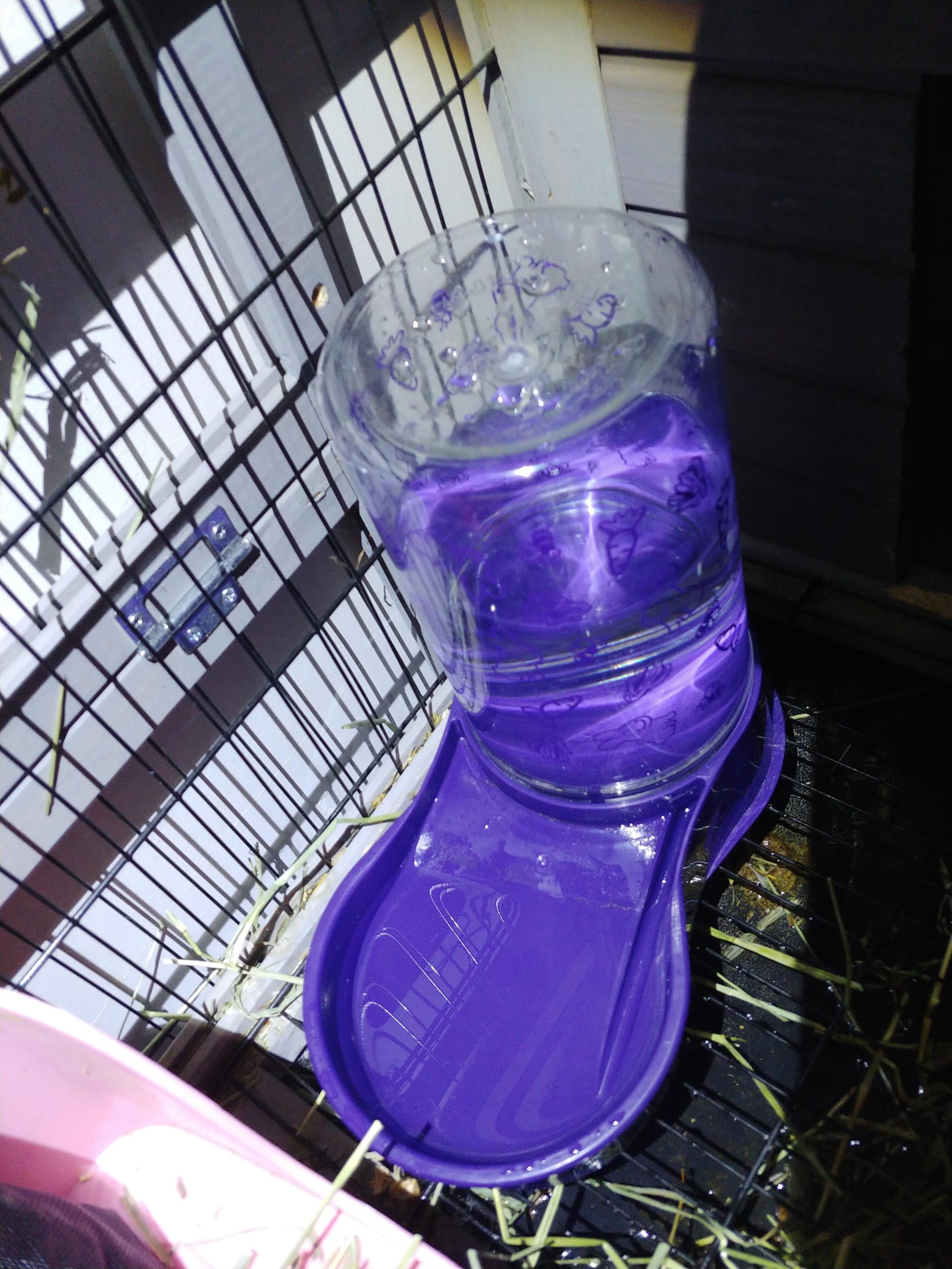 Lixit Reversible Waterer/Feeder for Rabbits and Other Small Animals. (Pack of 1),Purple customer photo 1