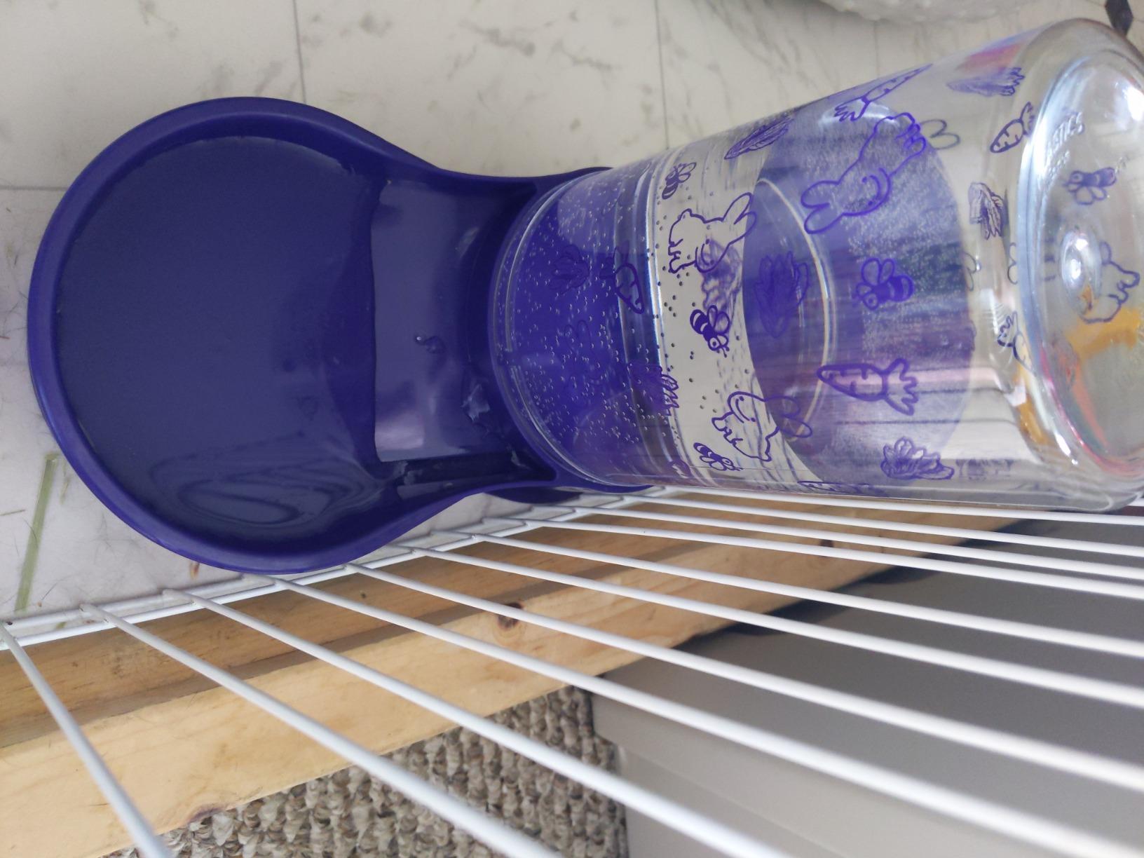 Lixit Reversible Waterer/Feeder for Rabbits and Other Small Animals. (Pack of 1),Purple customer photo 2