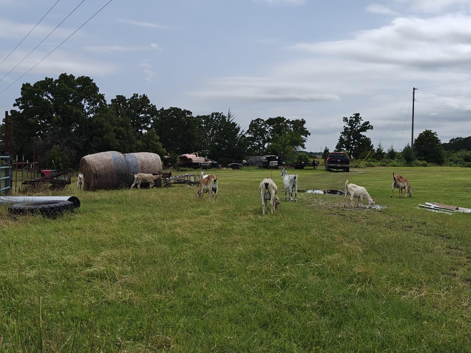 Gallagher Smart Fence 2 Portable Electric Fence for Livestock | 328ft of 4-Strand Electric Fencing, Built-In Posts and Reels, Quick Install Temporary Field Fencing customer photo 1
