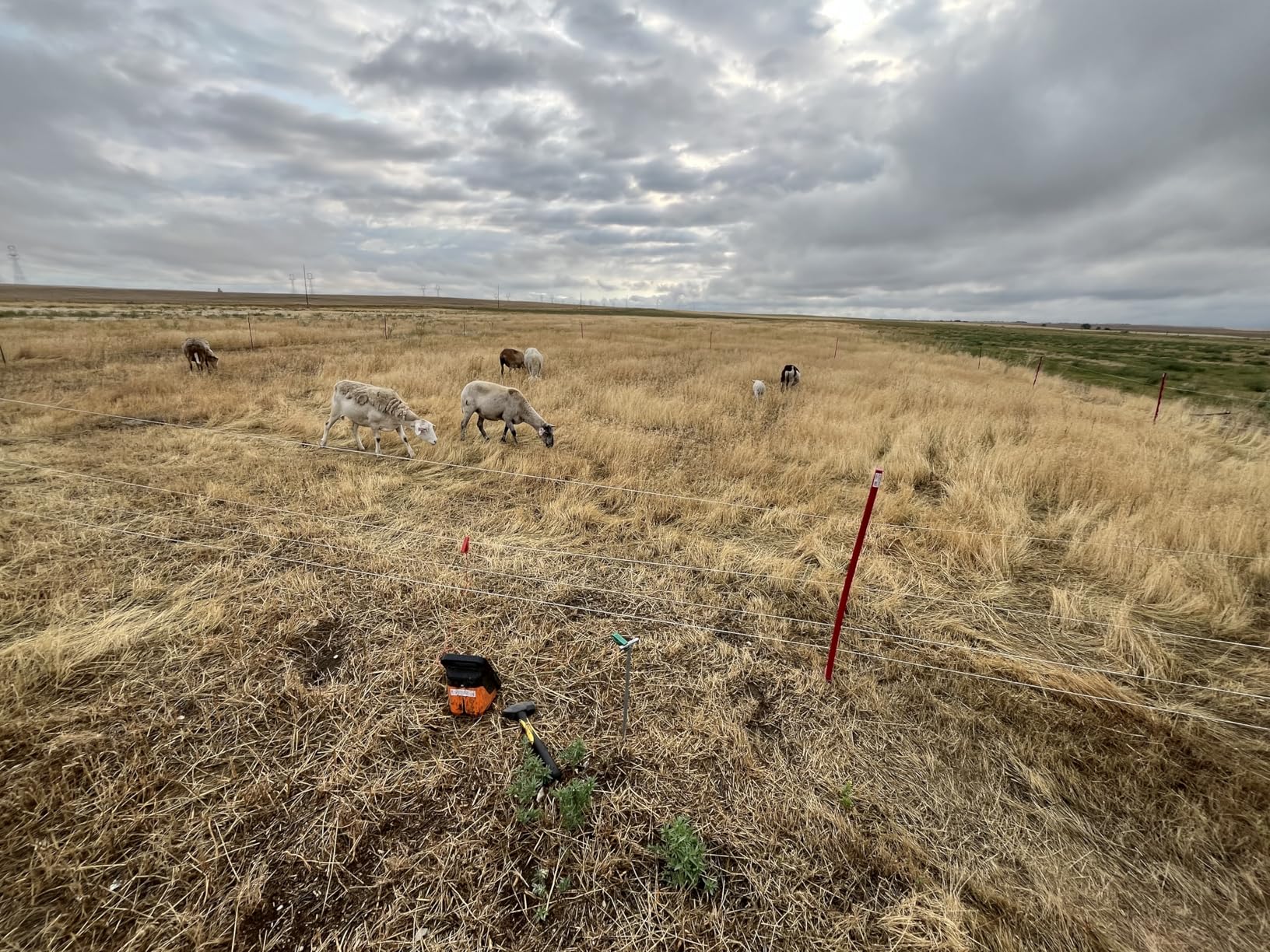 Gallagher Smart Fence 2 Portable Electric Fence for Livestock | 328ft of 4-Strand Electric Fencing, Built-In Posts and Reels, Quick Install Temporary Field Fencing customer photo 2