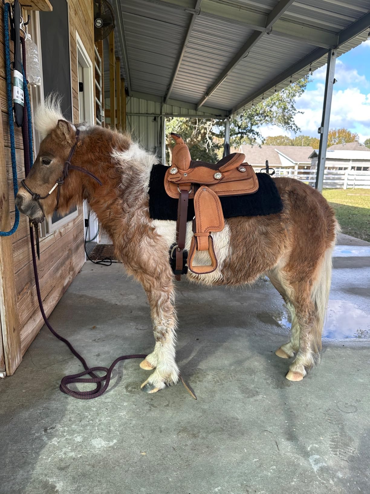 King Series Mini Deluxe Western Saddle customer photo 1