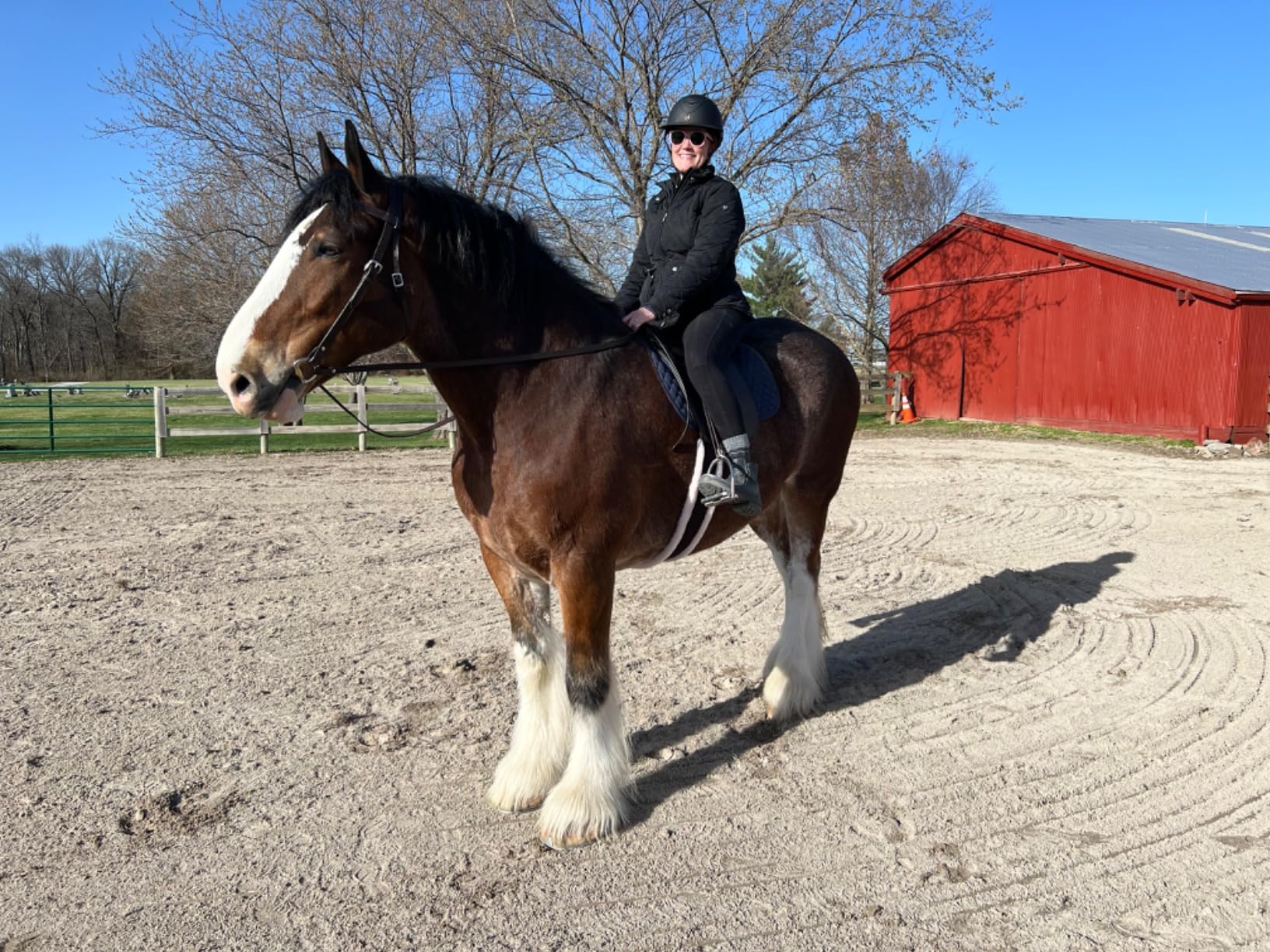 Tough 1 Western Leather Browband Draft Bridle customer photo 1