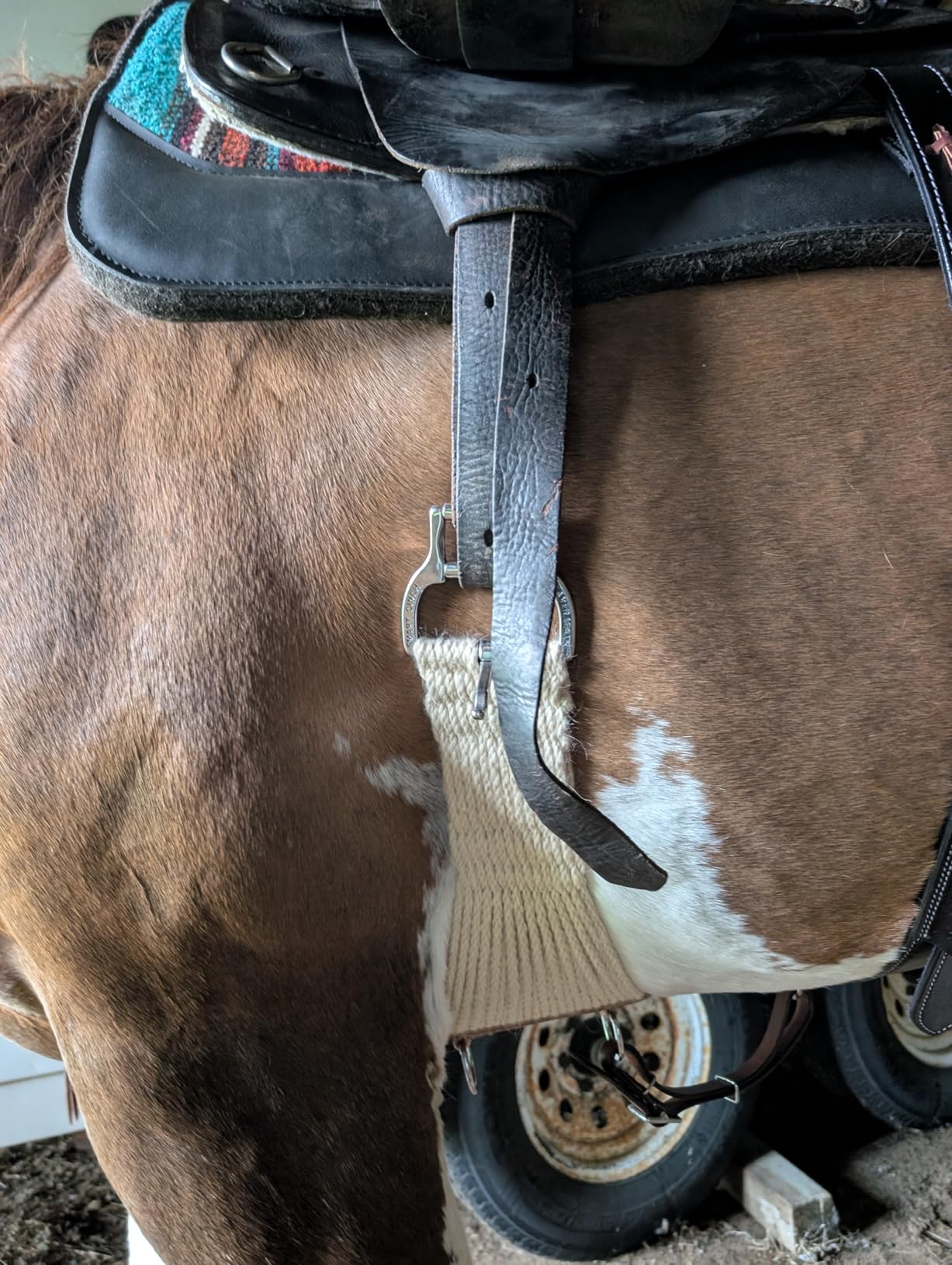 Weaver Equine 28