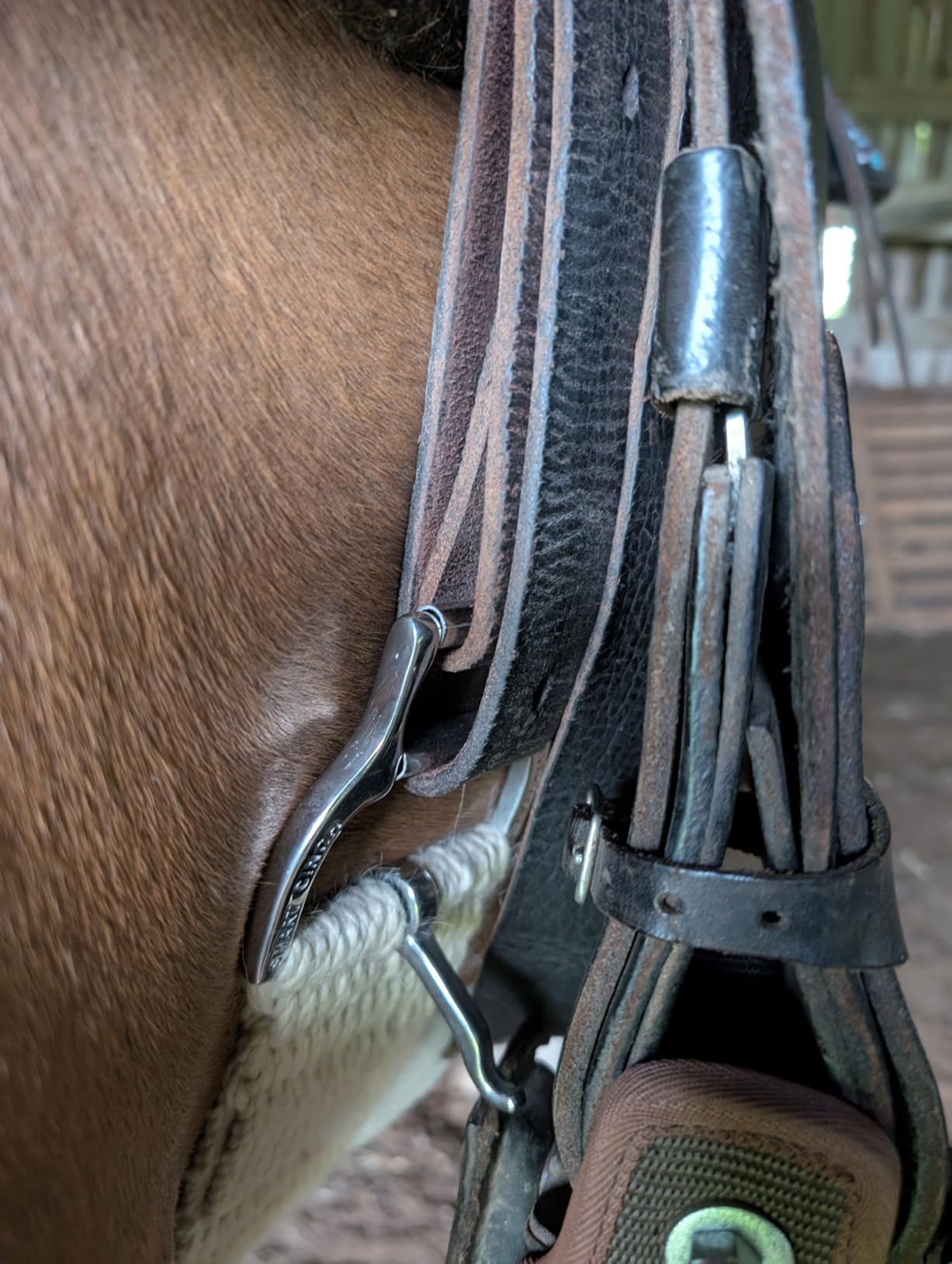 Weaver Equine 28