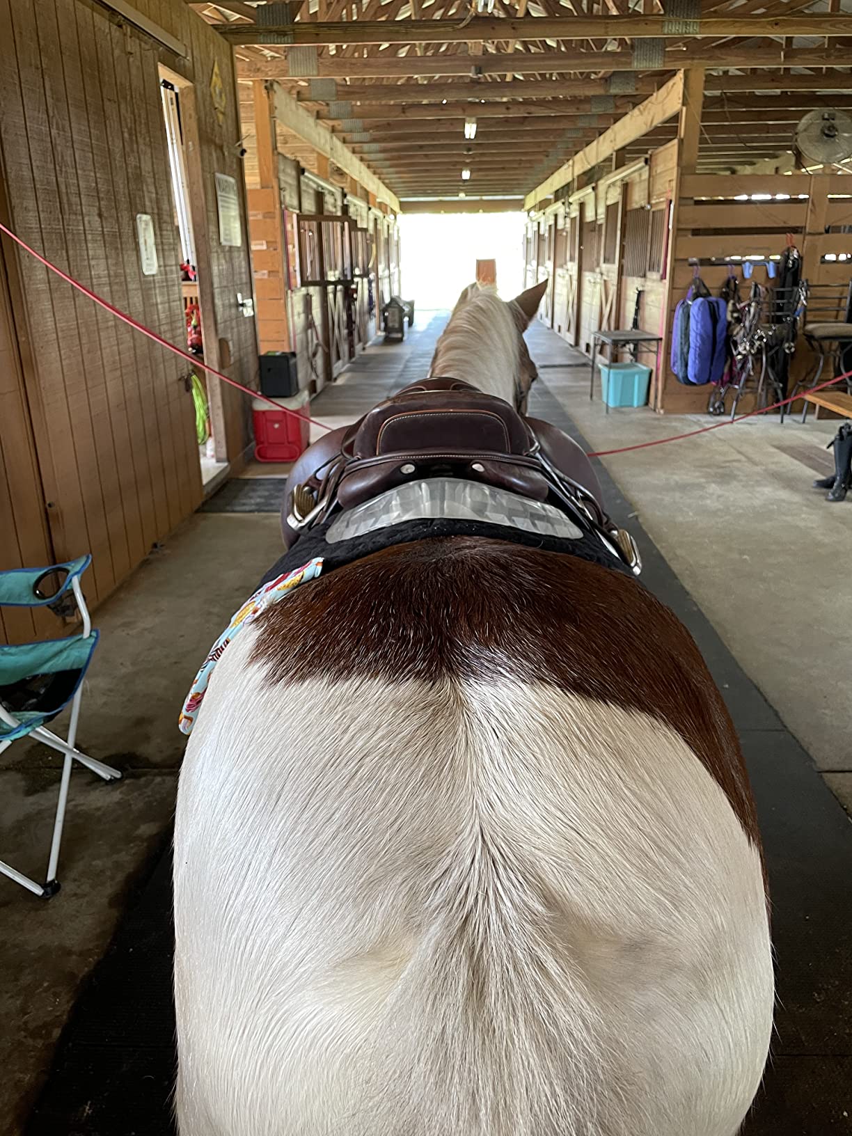 HORZE Gel Back Riser Pad customer photo 2